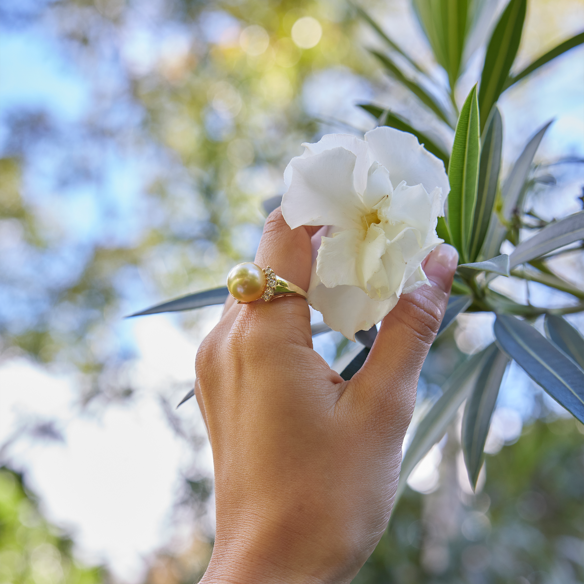 South Sea Gold Pearl Ring in Gold with Diamonds - 12-13mm