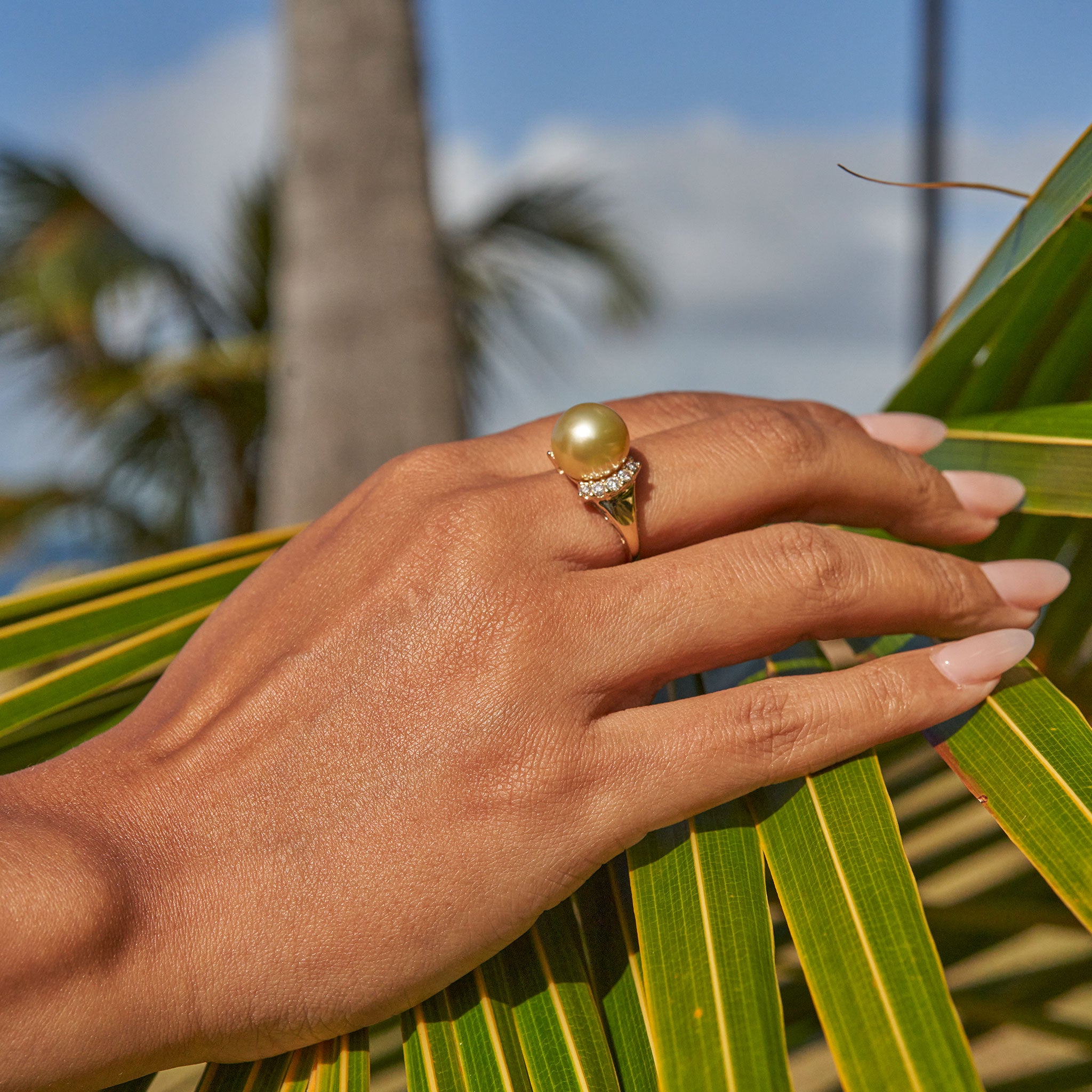 South Sea Gold Pearl Ring in Gold with Diamonds - 12-13mm