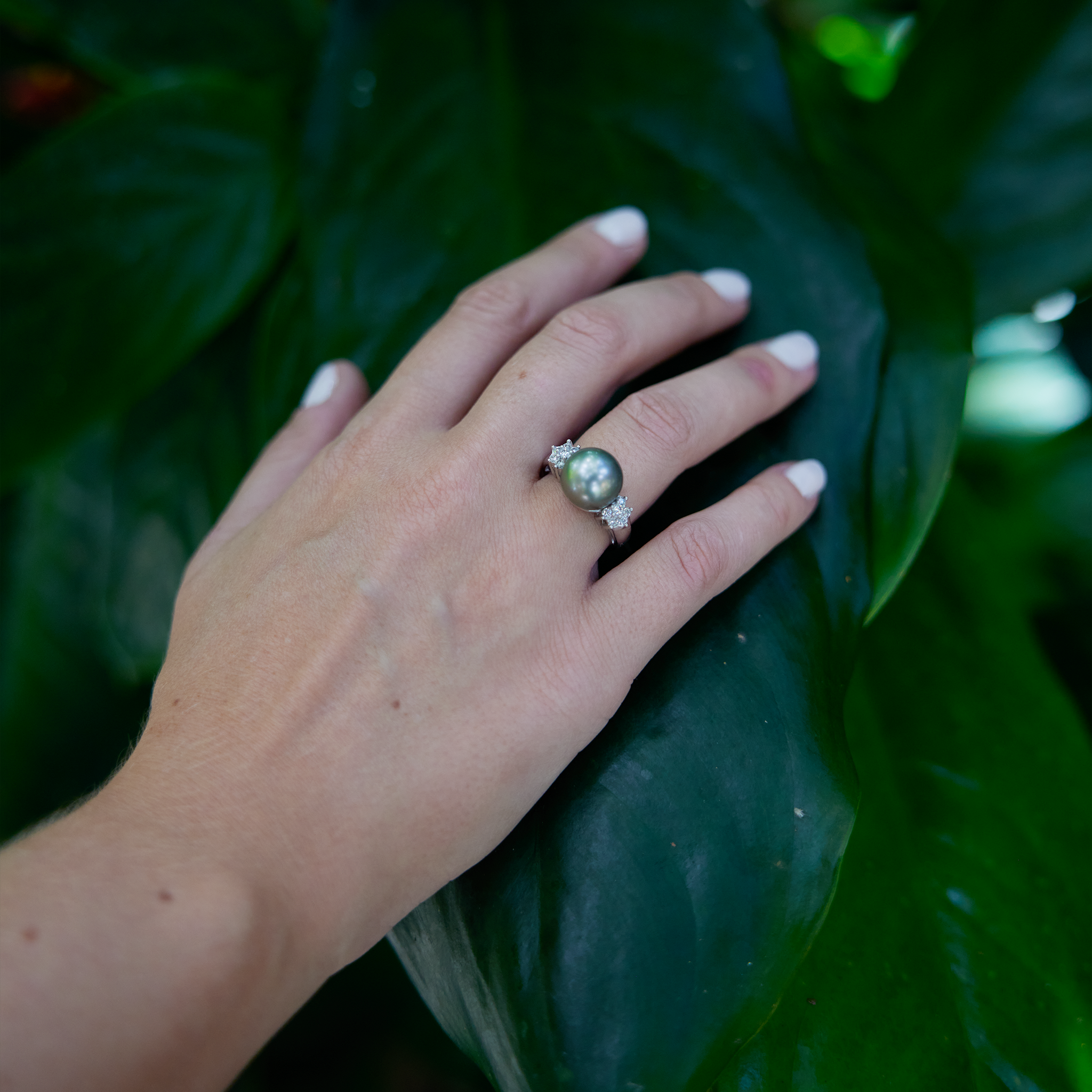 Hand over leaf wearing Tahitian Black Pearl Ring in White Gold with Diamonds - 11-12mm