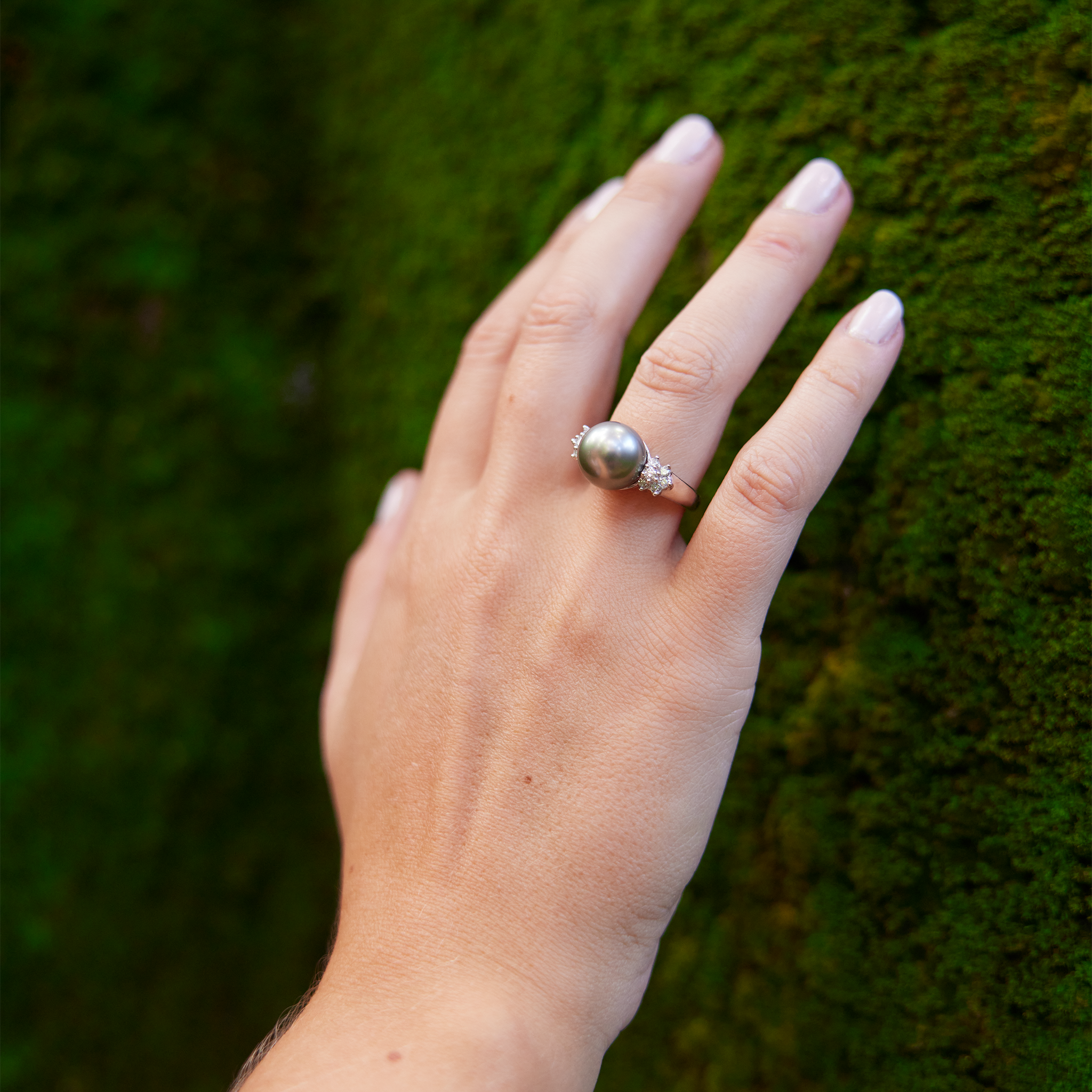 Hand over leaf wearing Tahitian Black Pearl Ring in White Gold with Diamonds - 11-12mm