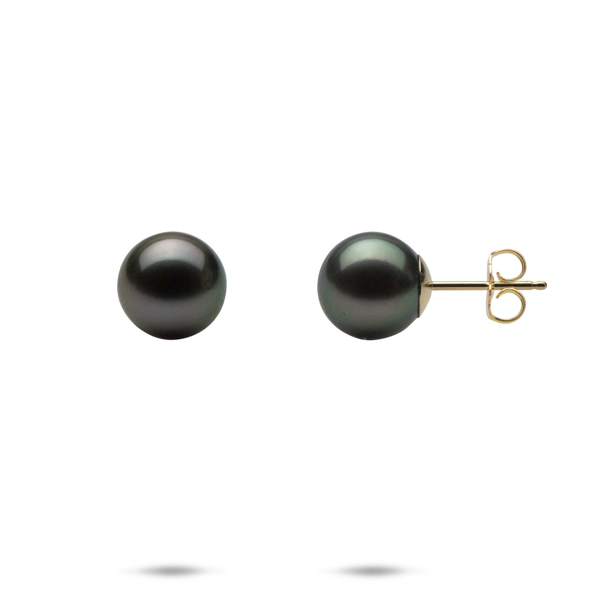 Tahitian Black Pearl Earrings in Gold - 9-10mm
