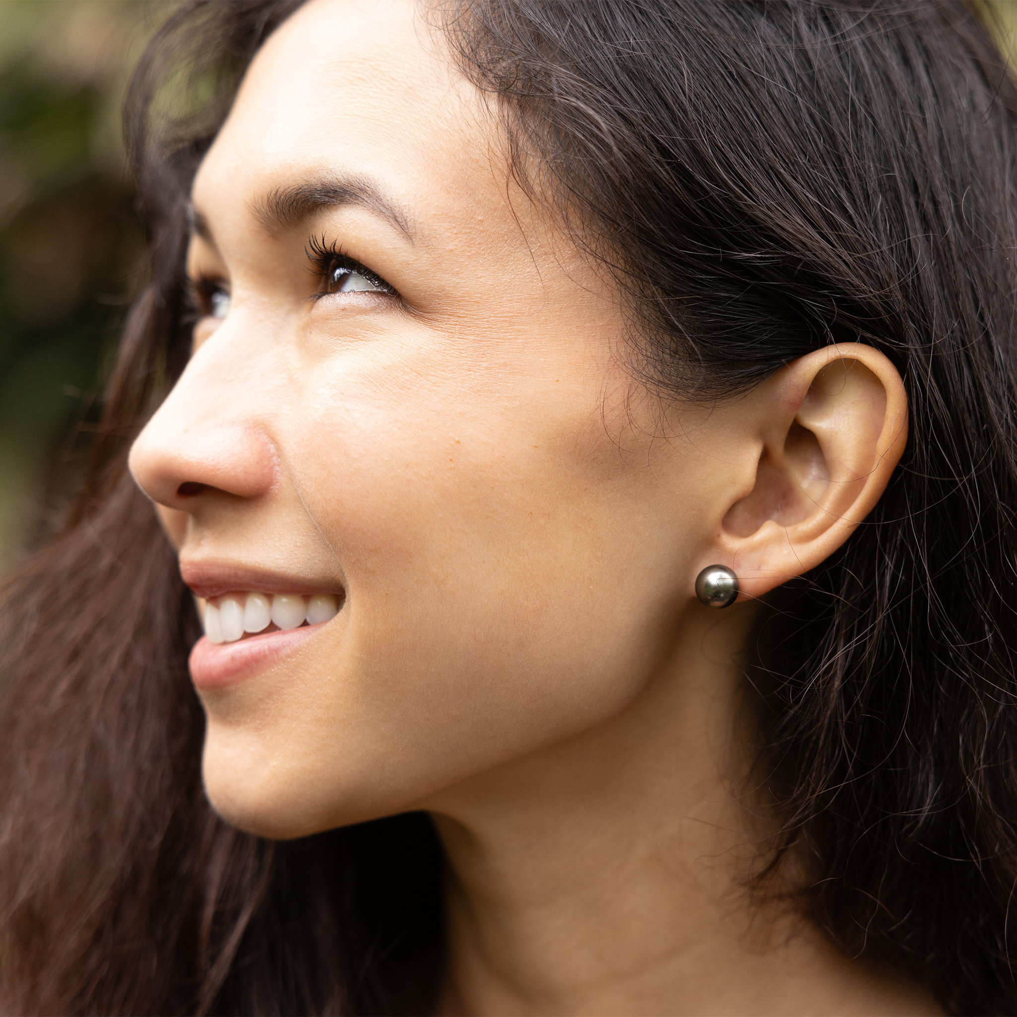 Tahitian Black Pearl Earrings in Gold - 9-10mm