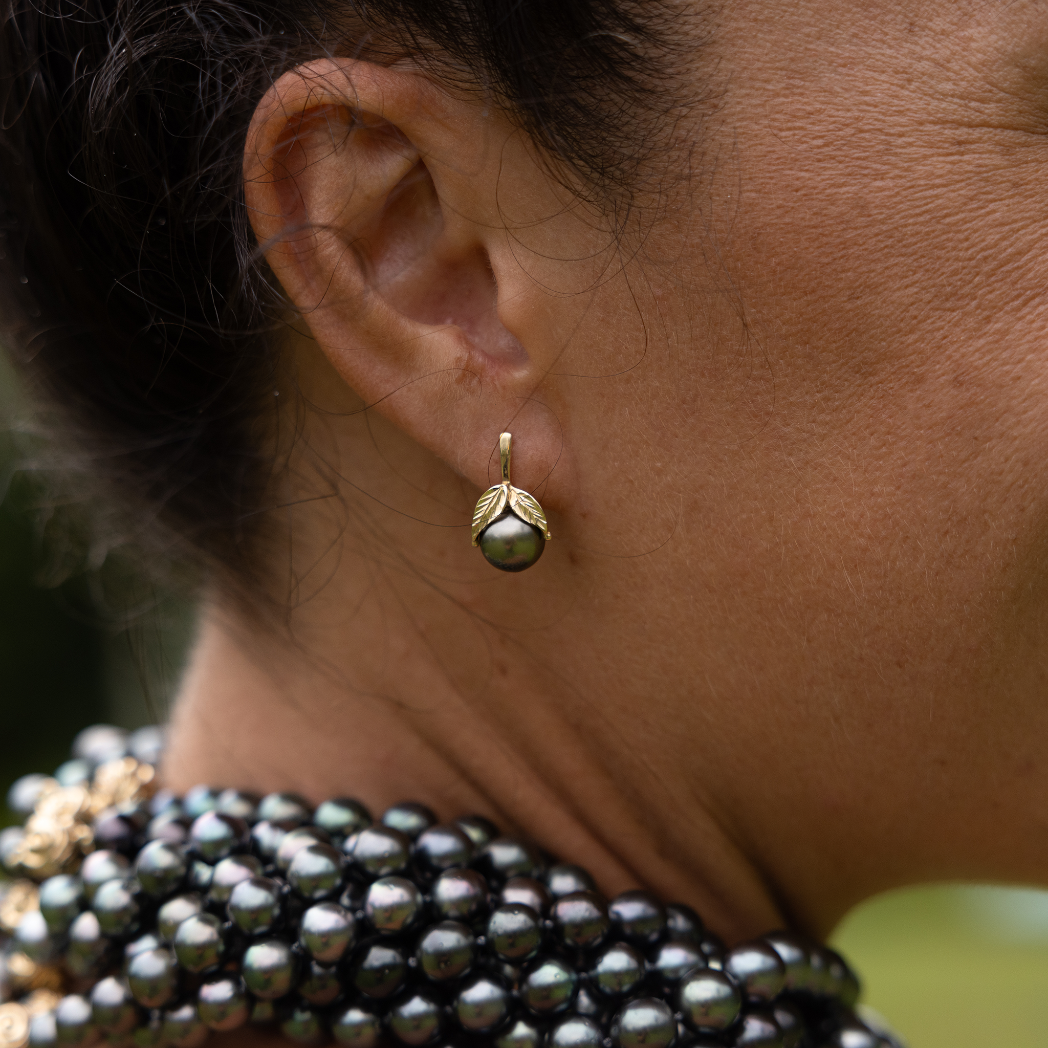 Maile Tahitian Black Pearl Earrings in Gold - 9-10mm