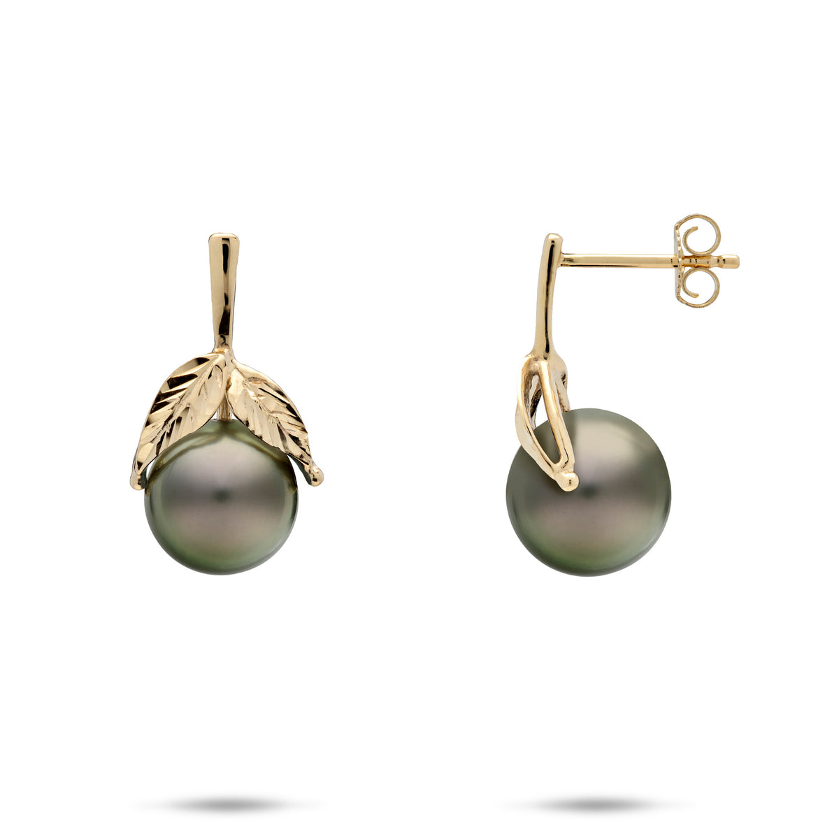 A pair of 14k yellow gold stud earrings with diamond-cut maile leaves and 9-10mm Tahitian black pearls, showcasing the front and side view on a white background