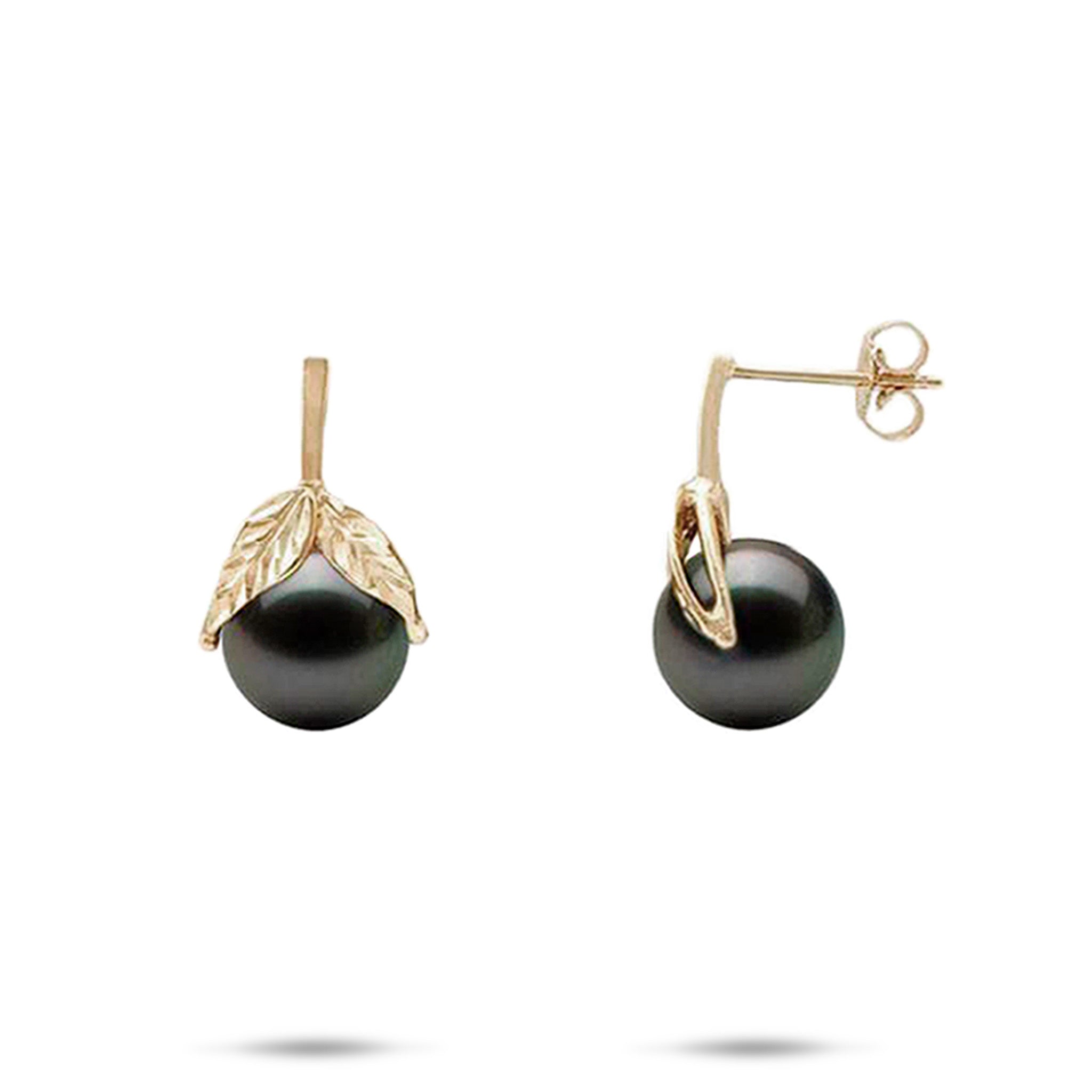 Maile Tahitian Black Pearl Earrings in Gold - 9-10mm