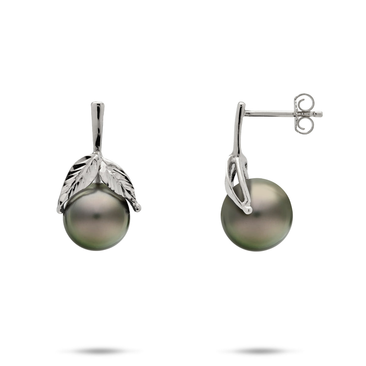 A pair of 14k white gold stud earrings with diamond-cut maile leaves and 9-10mm Tahitian black pearls, showcasing the front and side view on a white background