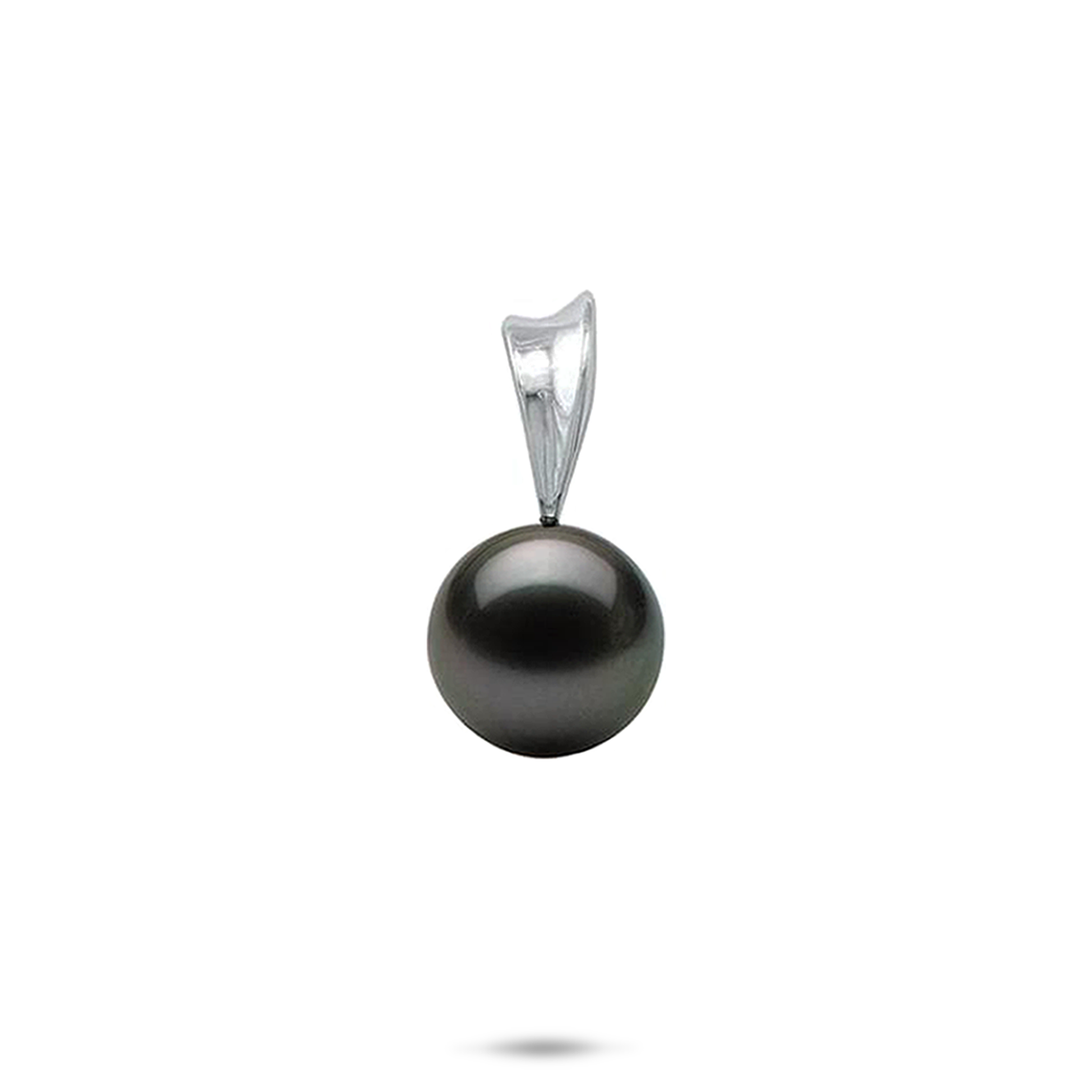 Tahitian Black Pearl Pendant in White Gold - 10-11mm