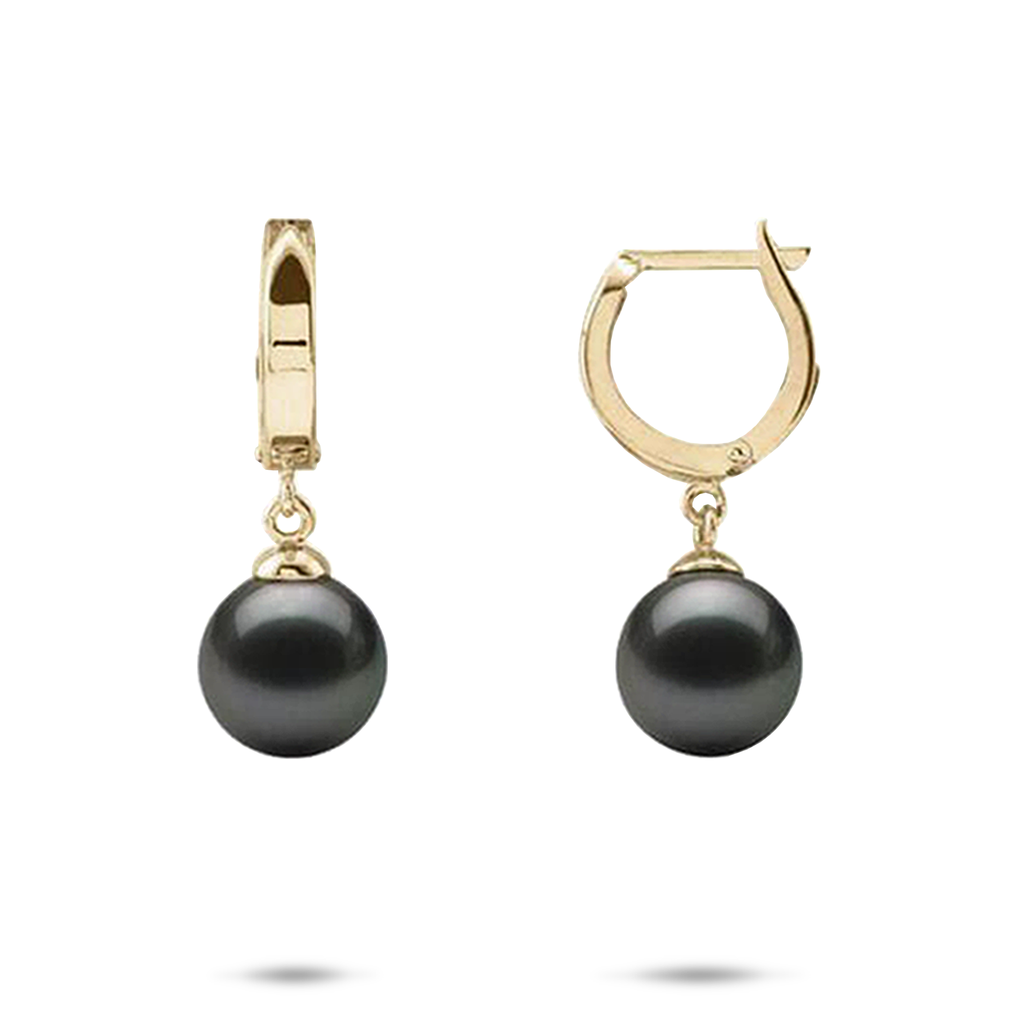 Tahitian Black Pearl Earrings in Gold - 9-10mm