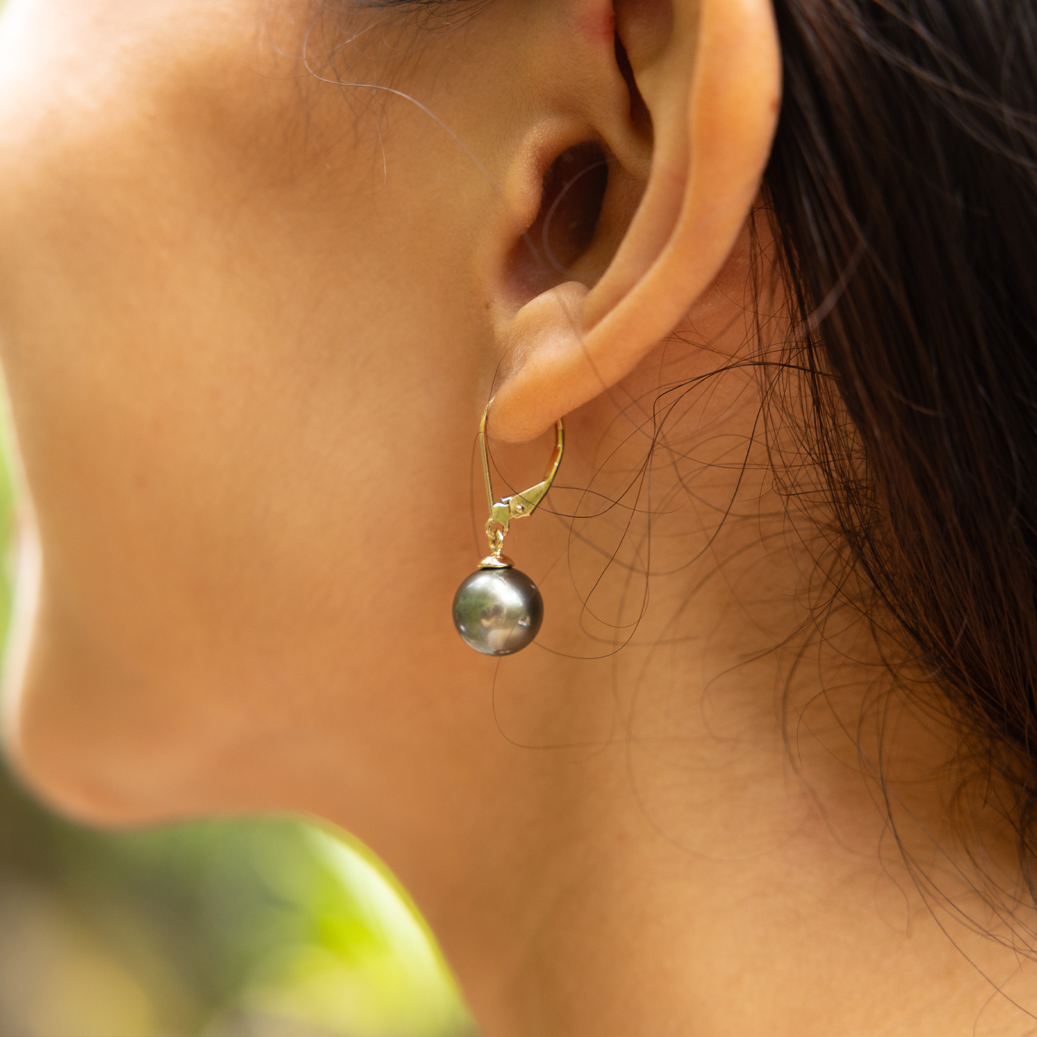 Tahitian Black Pearl Earrings in Gold - 9-10mm