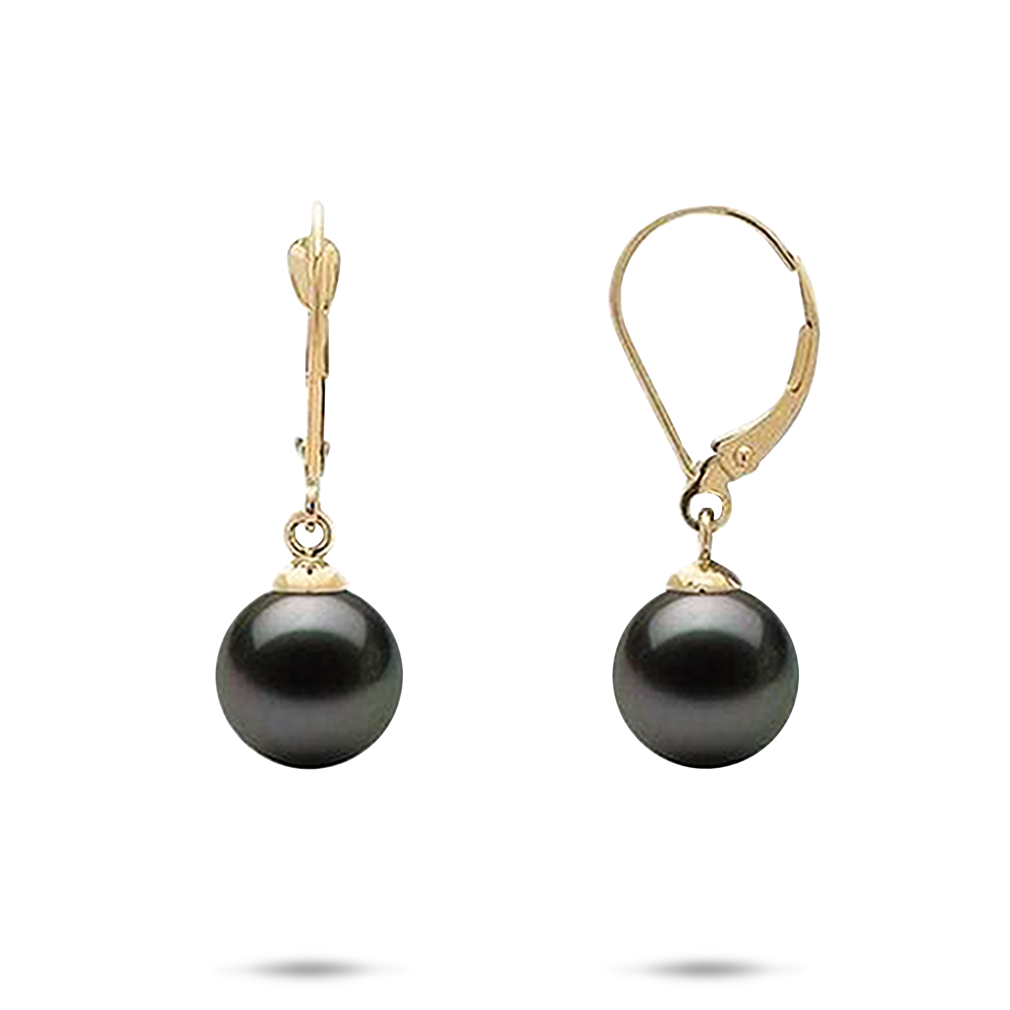 Tahitian Black Pearl Earrings in Gold - 9-10mm