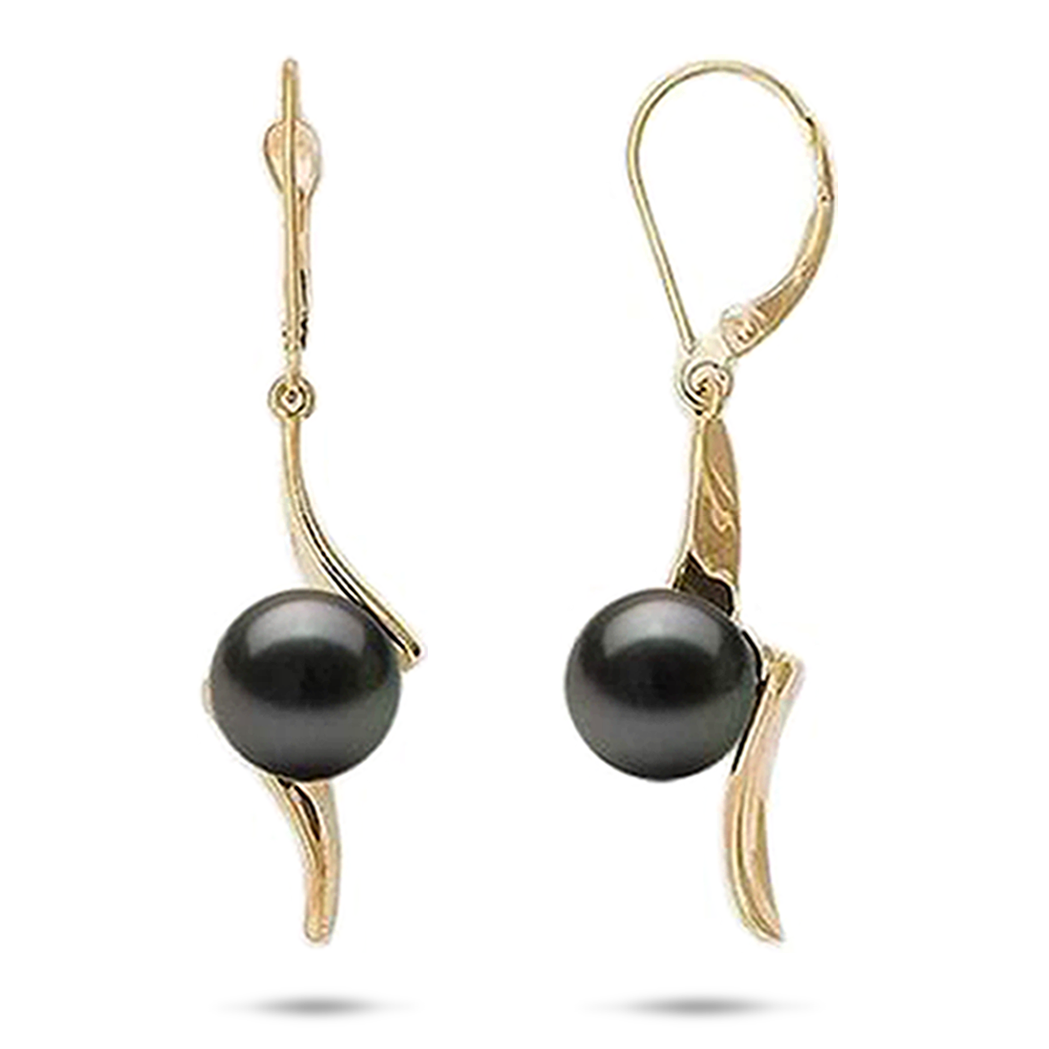 Tahitian Black Pearl Earrings in Gold - 9-10mm
