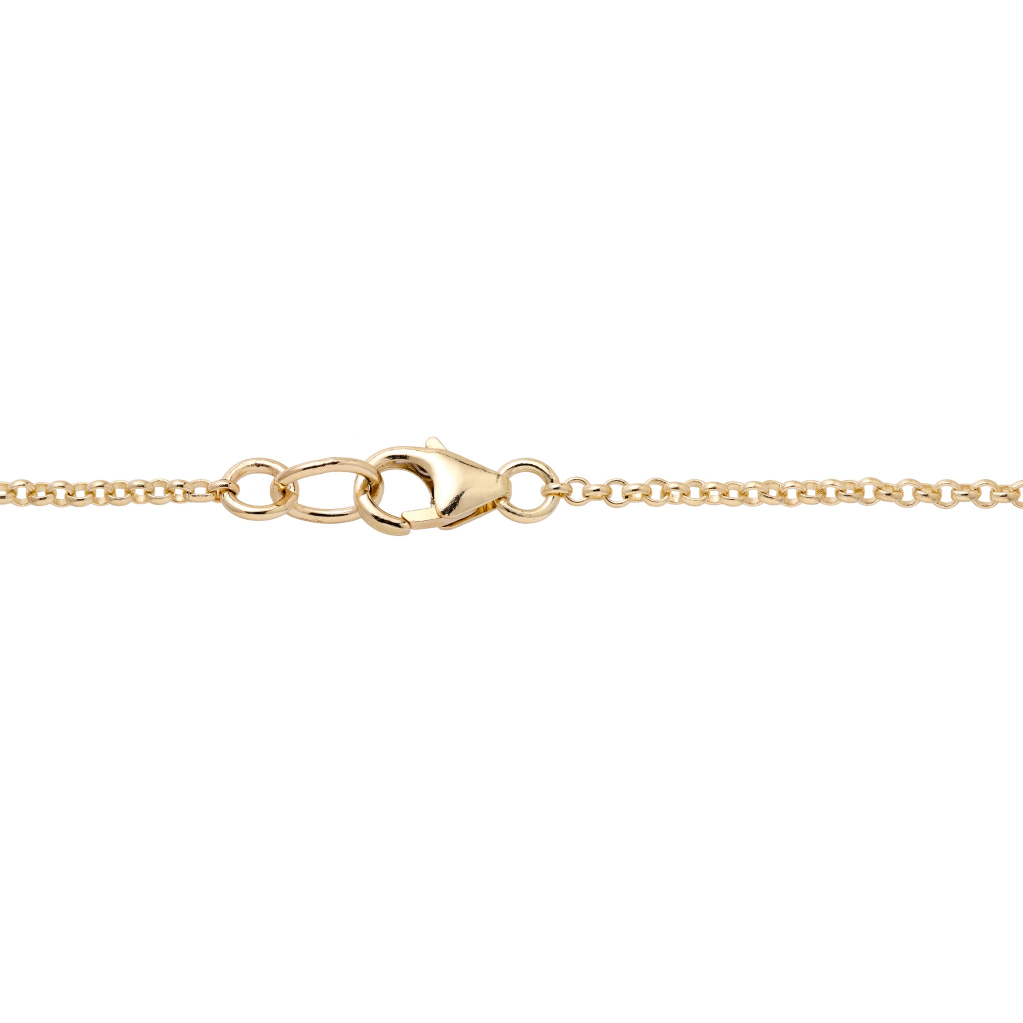 Detail shot of the rolo chain and lobster claw clasp on a white background