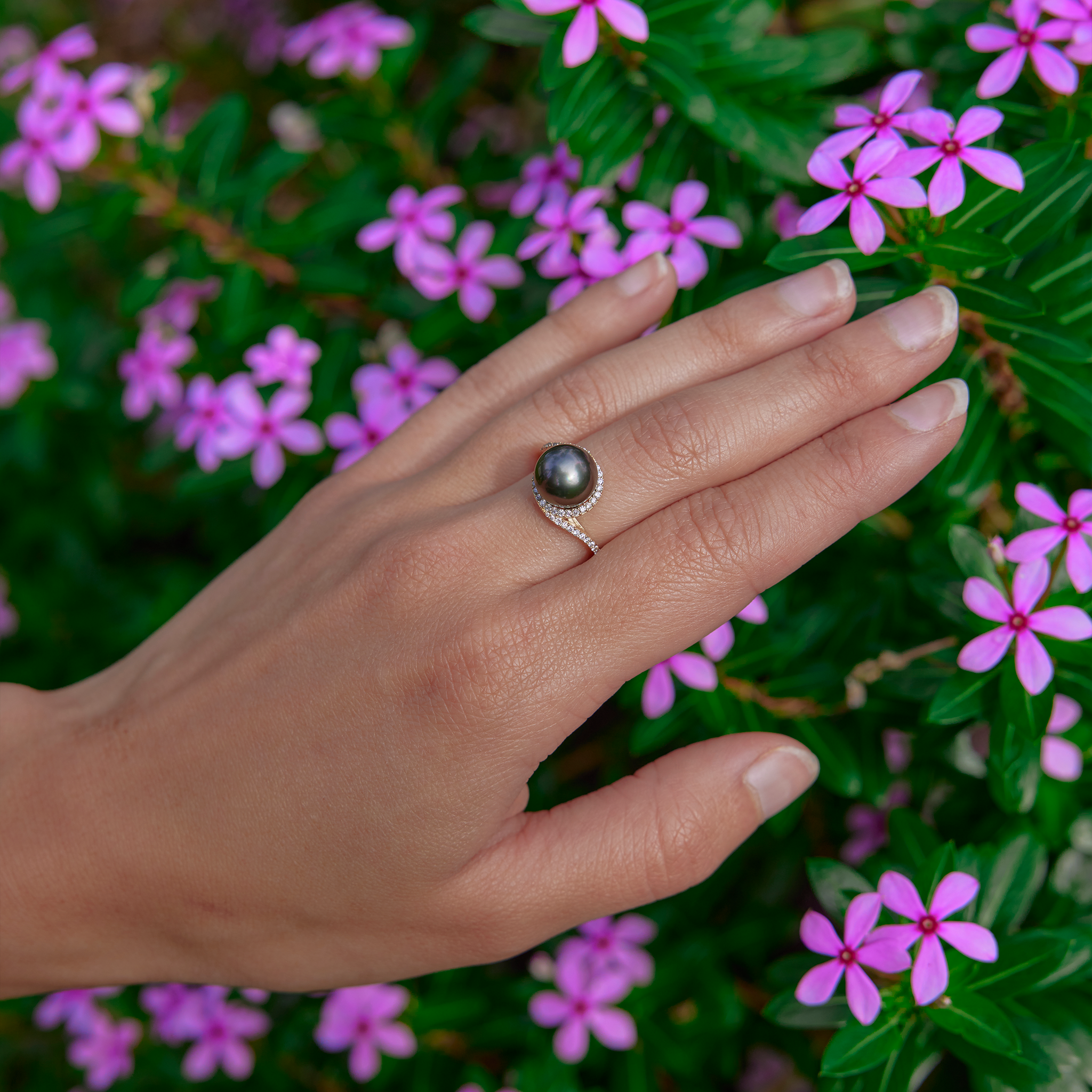 Halo Bypass Tahitian Black Pearl Ring in Gold with Diamonds - 9-10mm