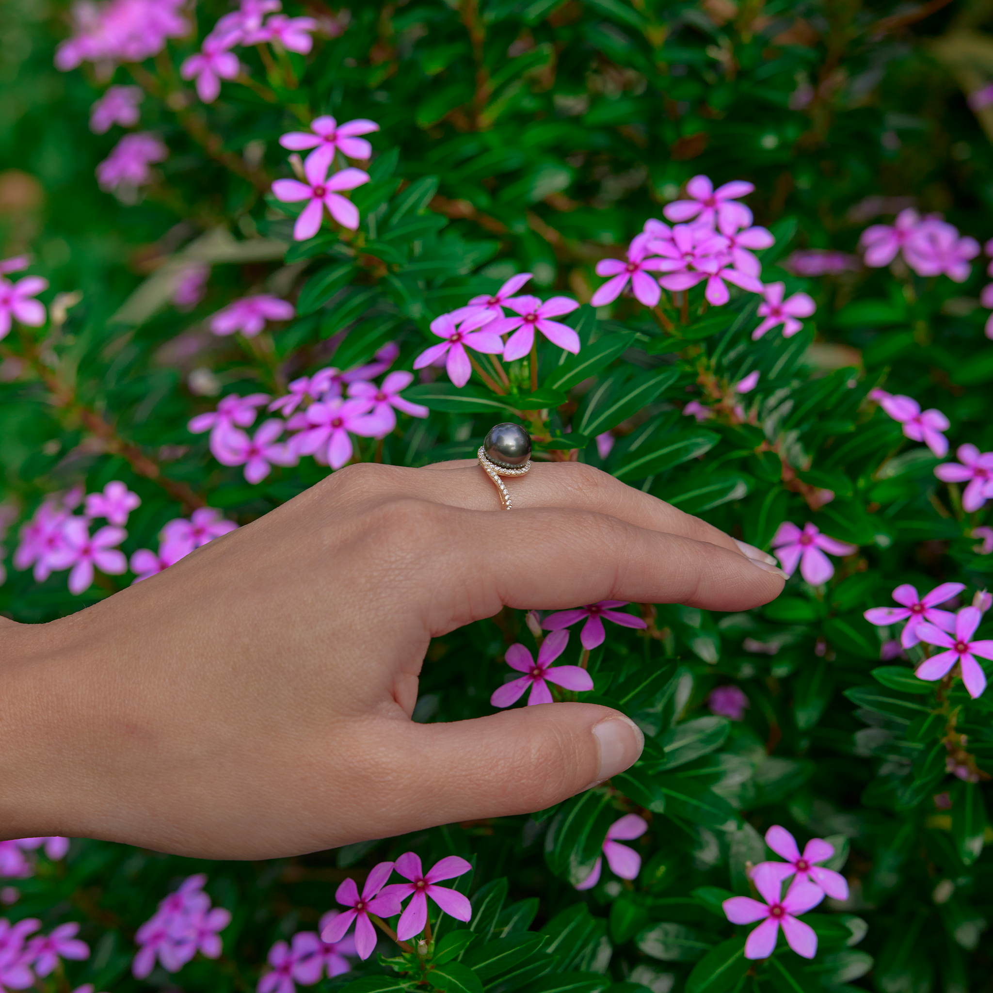 Close-up of a hand wearing a diamond halo, Tahitian black pearl ring over a purple flower backdrop.