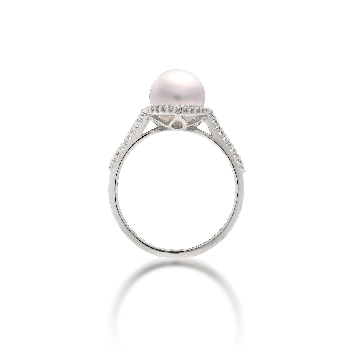 Side view of a 14k white gold ring featuring an 8-9mm Akoya white pearl surrounded by a diamond halo, set on a diamond band, shown on a white background with a soft reflection.