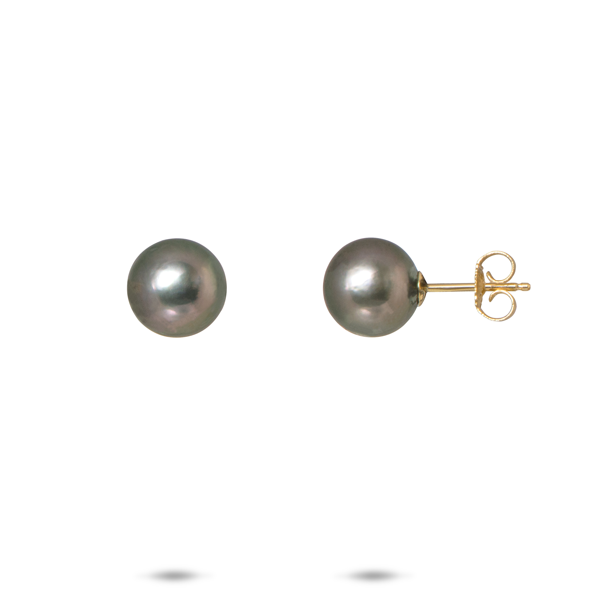 Tahitian Black Pearl Earrings in Gold - 8-9mm