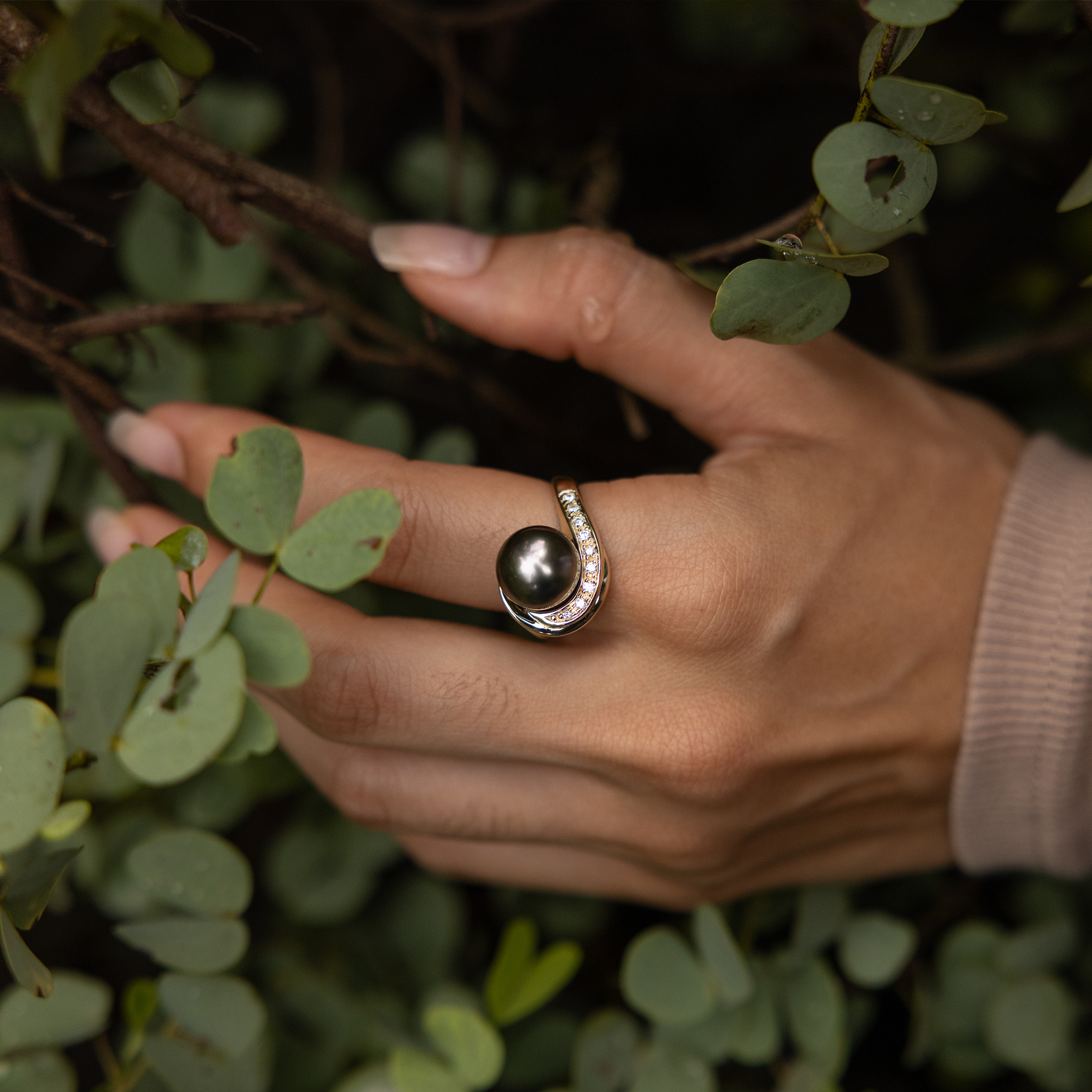 Tahitian Black Pearl Ring in Gold with Diamonds - 10-11mm