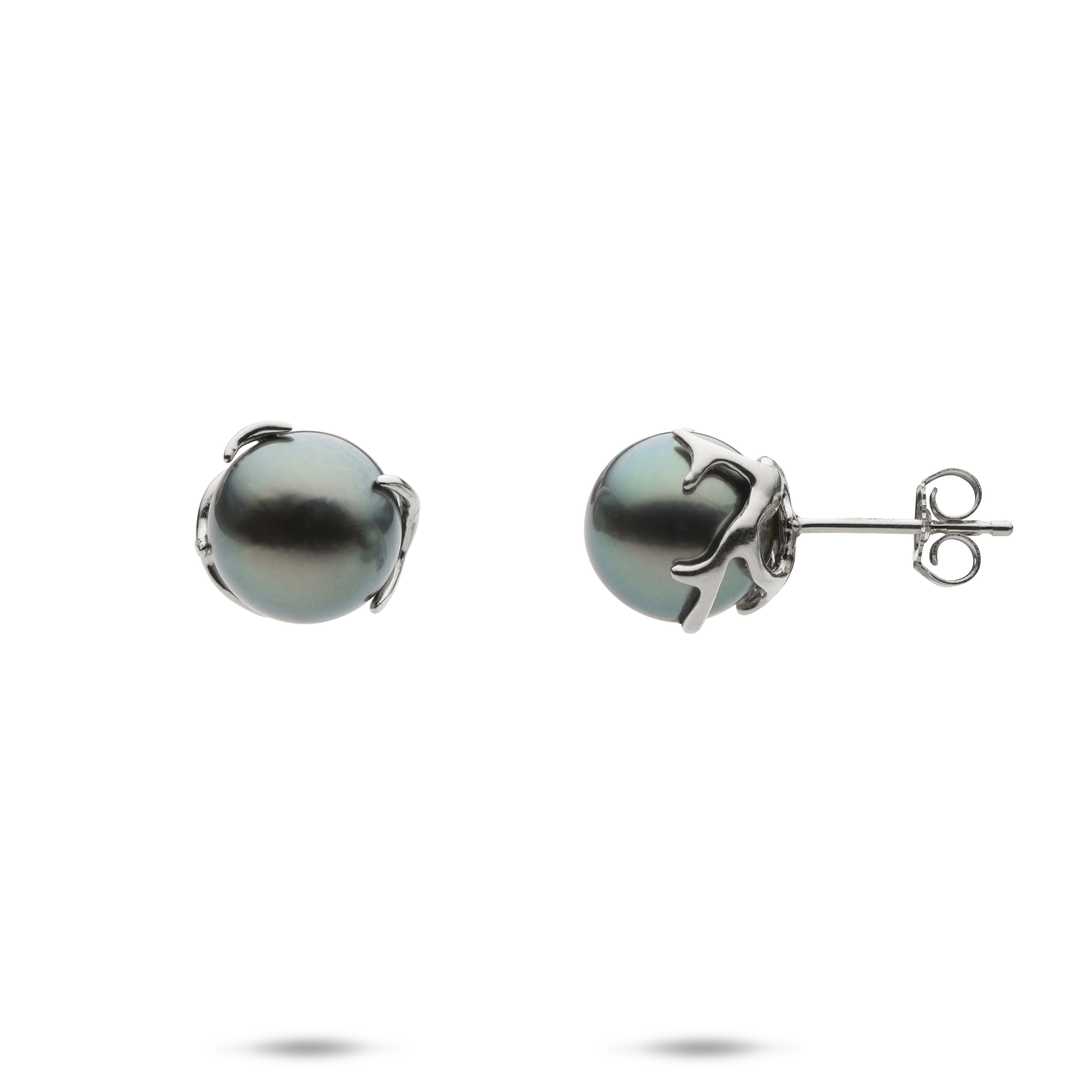 Heritage Tahitian Black Pearl Earrings in White Gold - 9-10mm