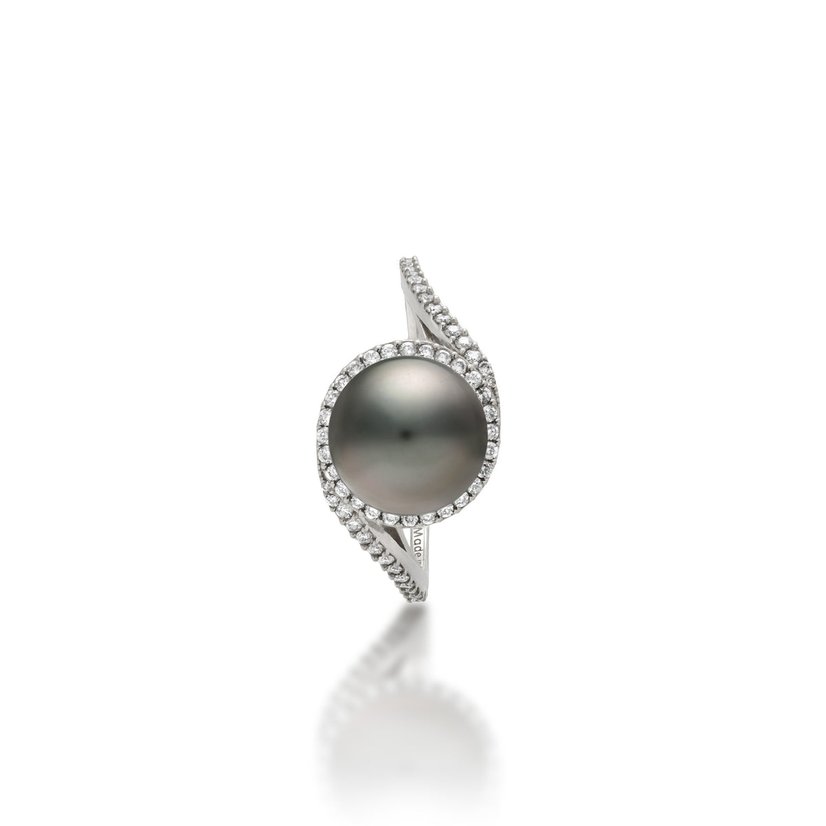 Top view of a 14k white gold ring with a páve diamond band that curves to the top to form a diamond halo around a Tahitian black pearl, shown on a white background