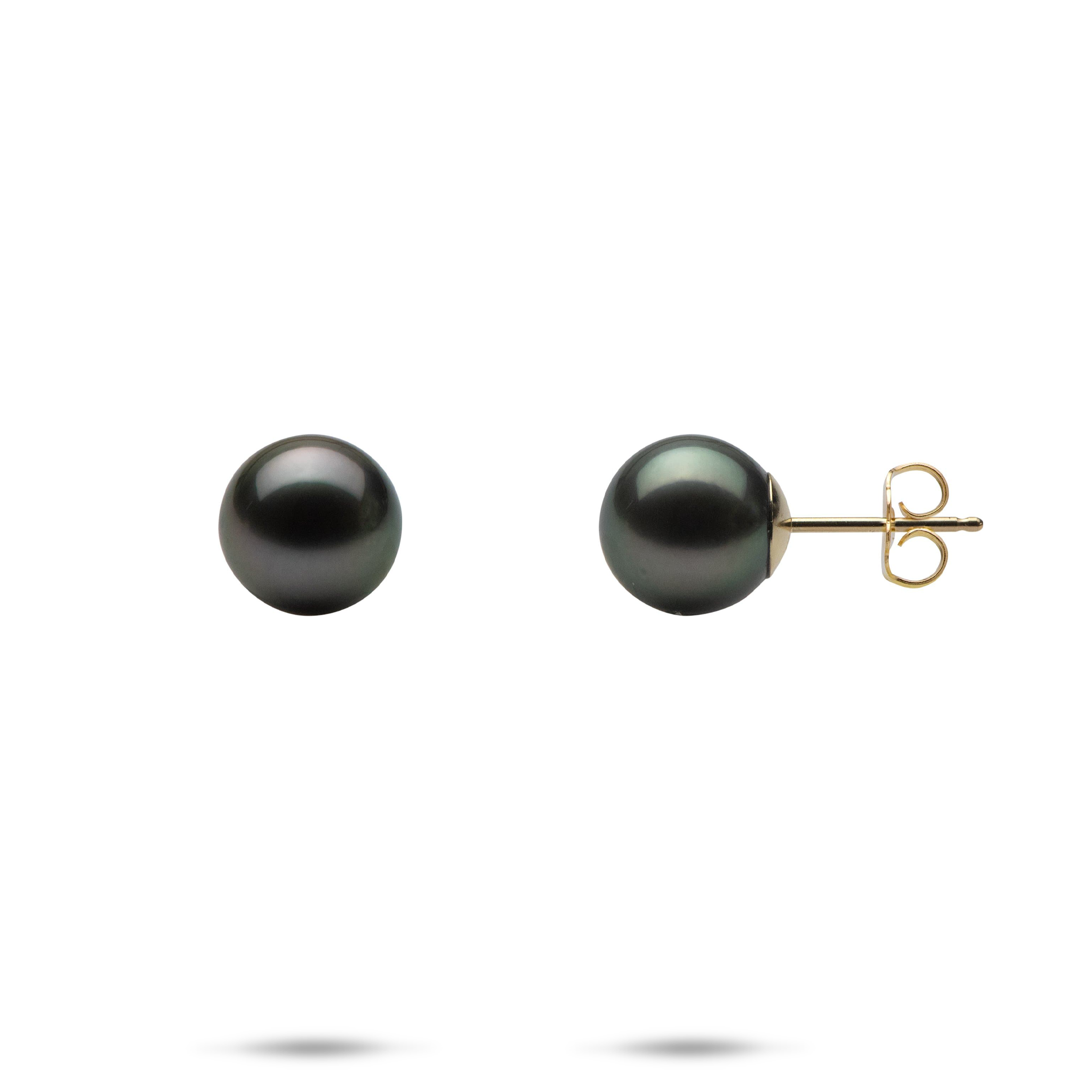 Tahitian Black Pearl Earrings in Gold - 8-9mm