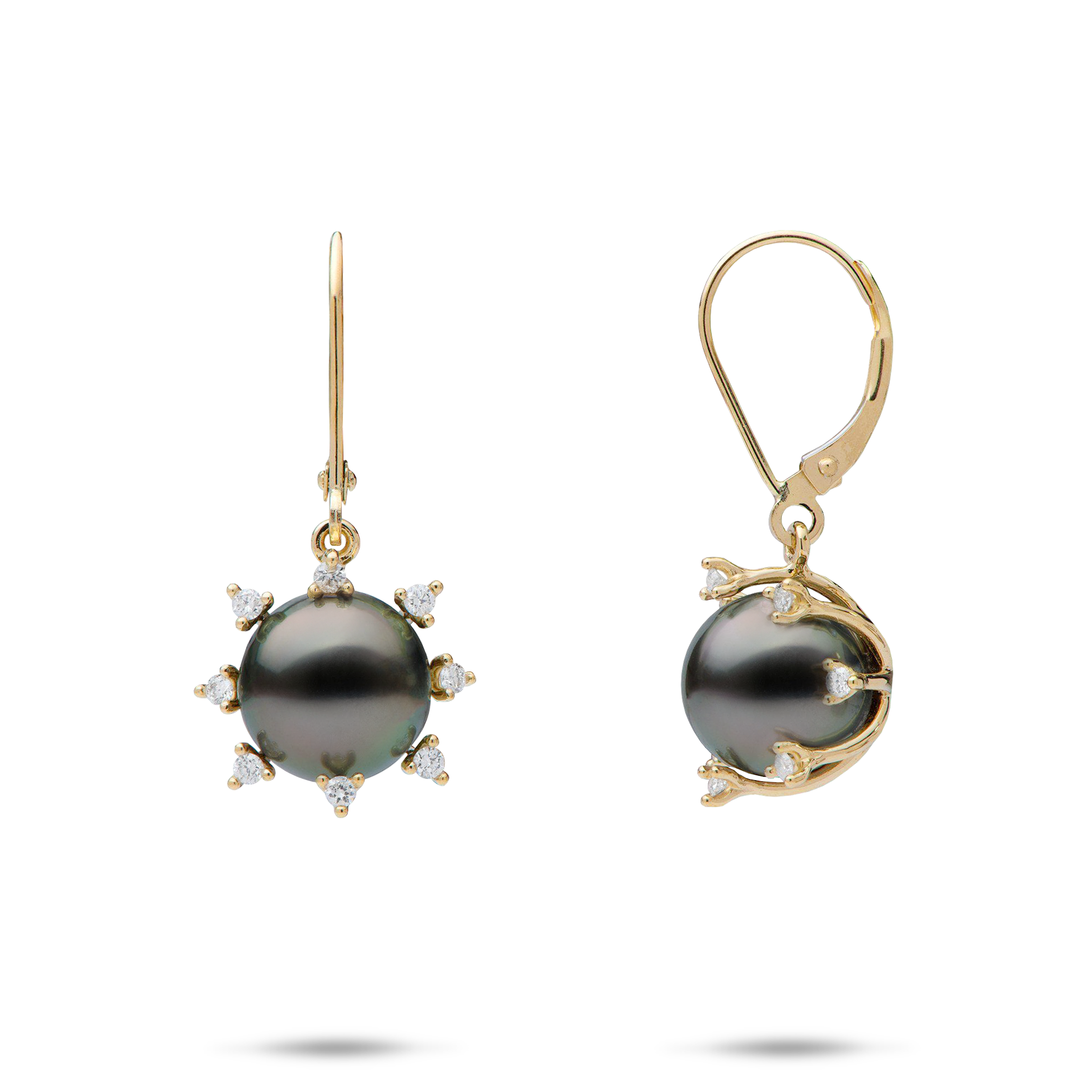 Protea Tahitian Black Pearl Earrings in Gold with Diamonds - 9-10mm