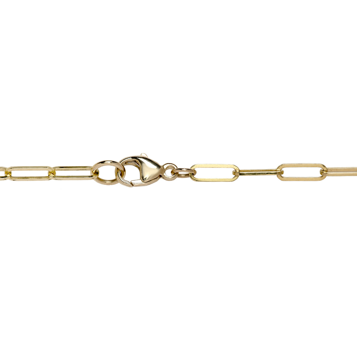 Detail of a 14k gold lobster clasp on a paperclip chain against a white background
