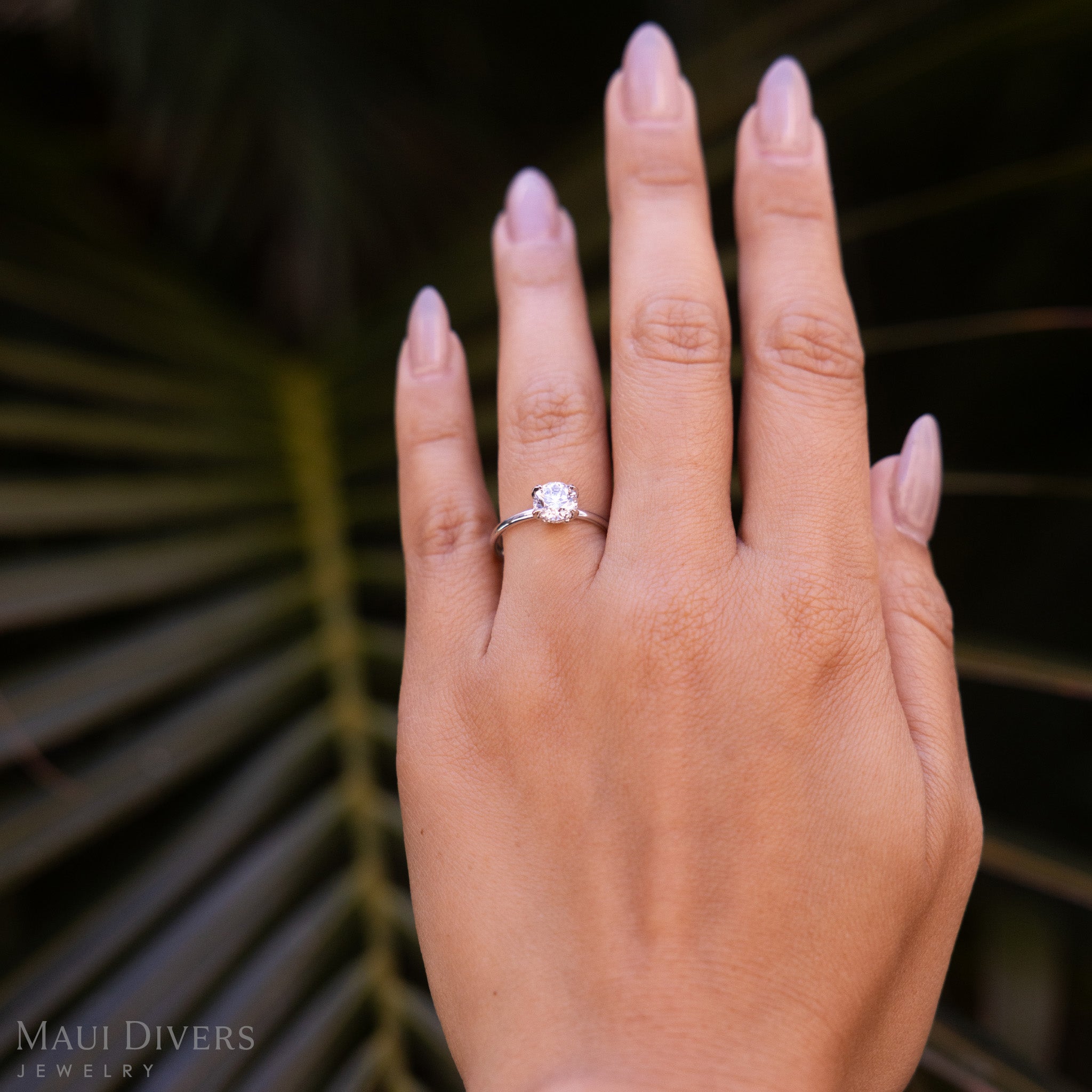 A Hidden Hawaiʻi Maile Lab Grown Diamond Ring in 14k white gold worn on the left finger of a hand, against a blurred leafy background
