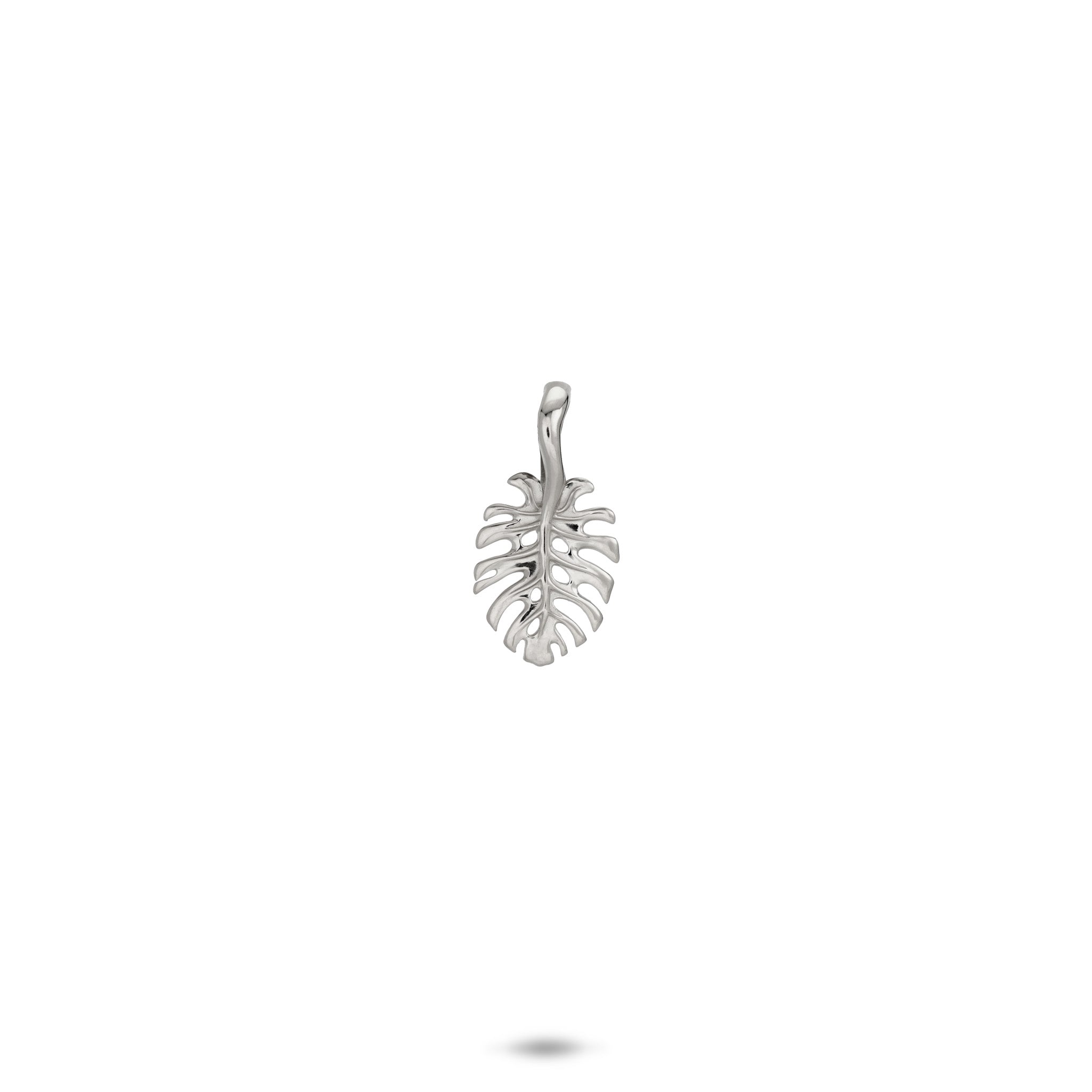 13.5mm Monstera Pendant in 14k White Gold