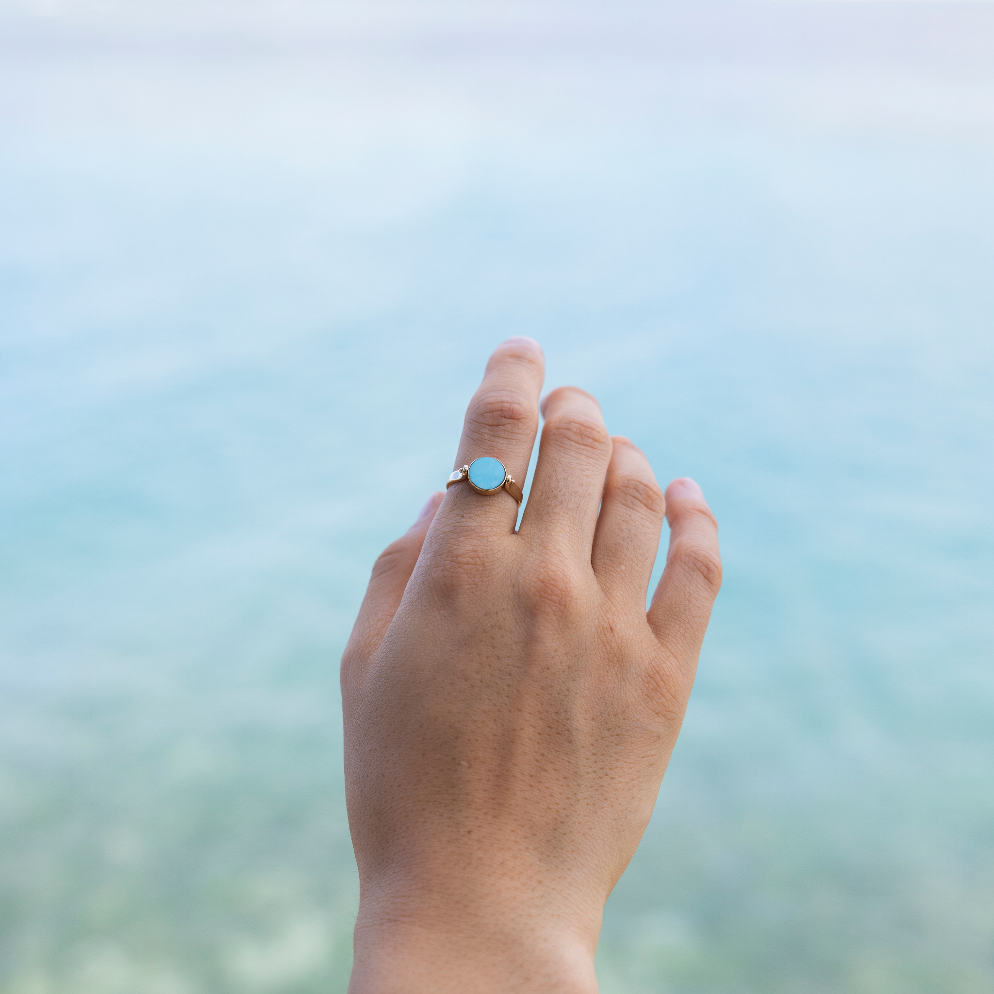 Eclipse Flipside Turquoise & Mother of Pearl Ring in Gold - 9mm