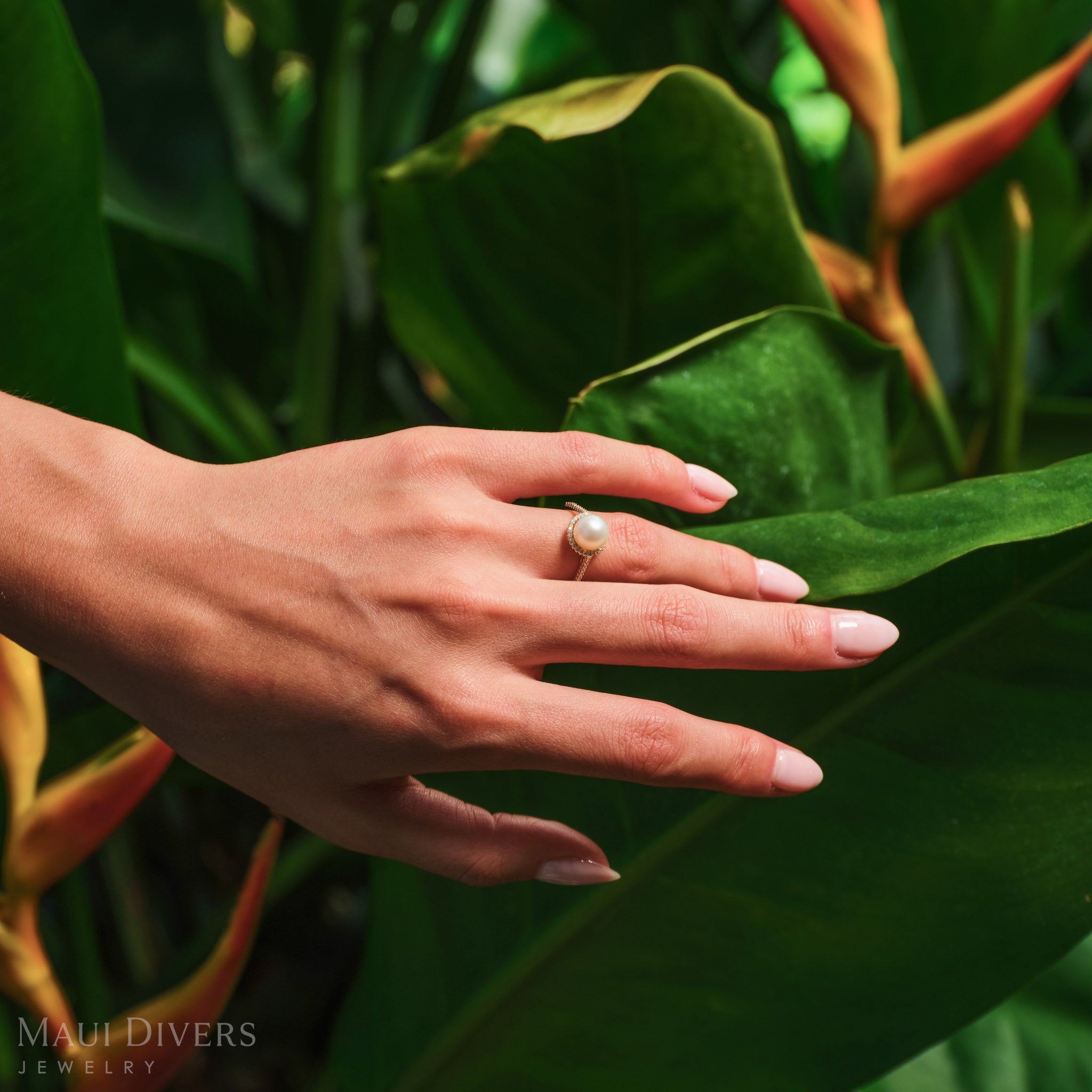 Close-up of a Pick A Pearl Halo Ring in Gold with diamonds and a white pearl worn on a hand touching a green leaf