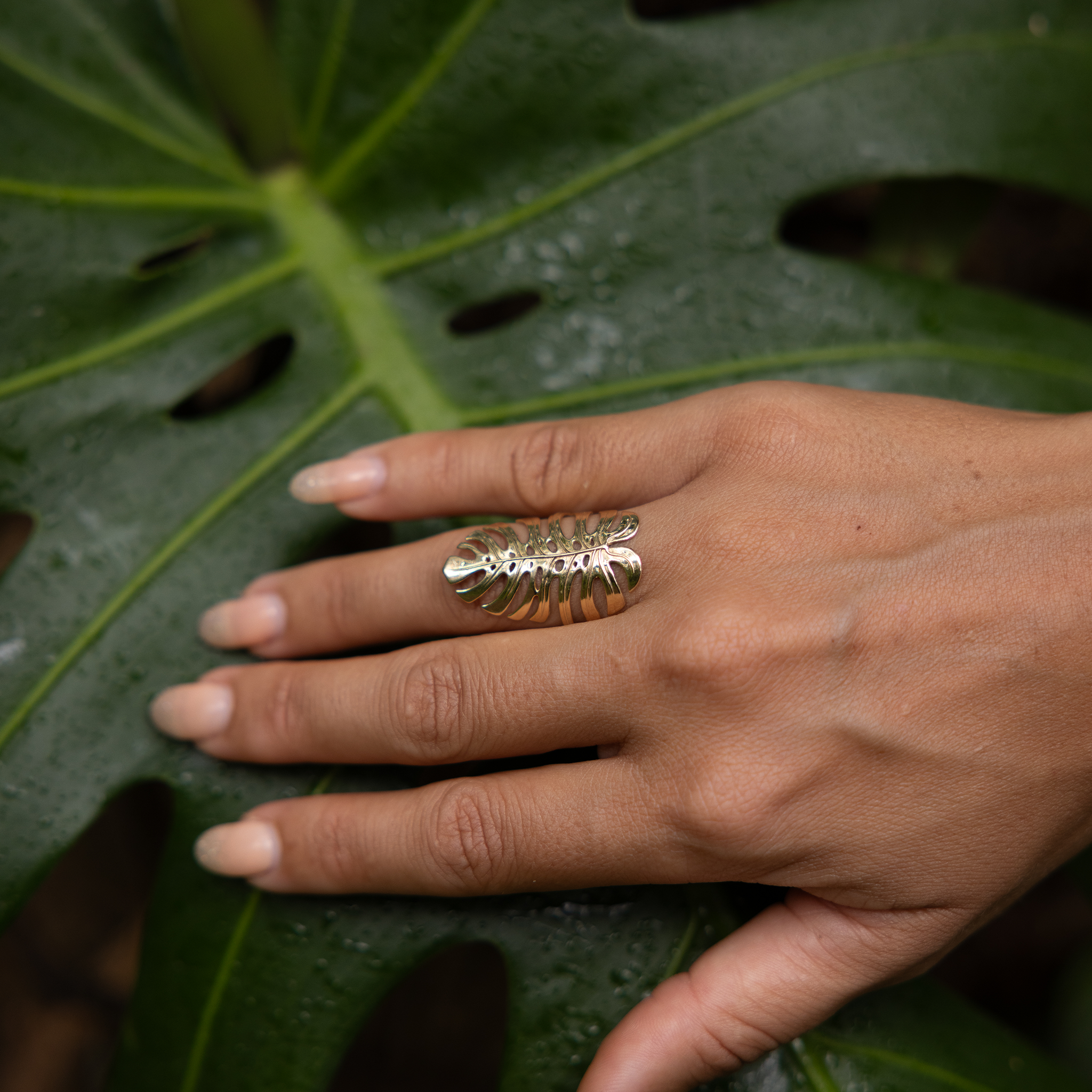 Close up of a 30mm Monstera Ring in Gold on a hand placed over a large monstera leaf