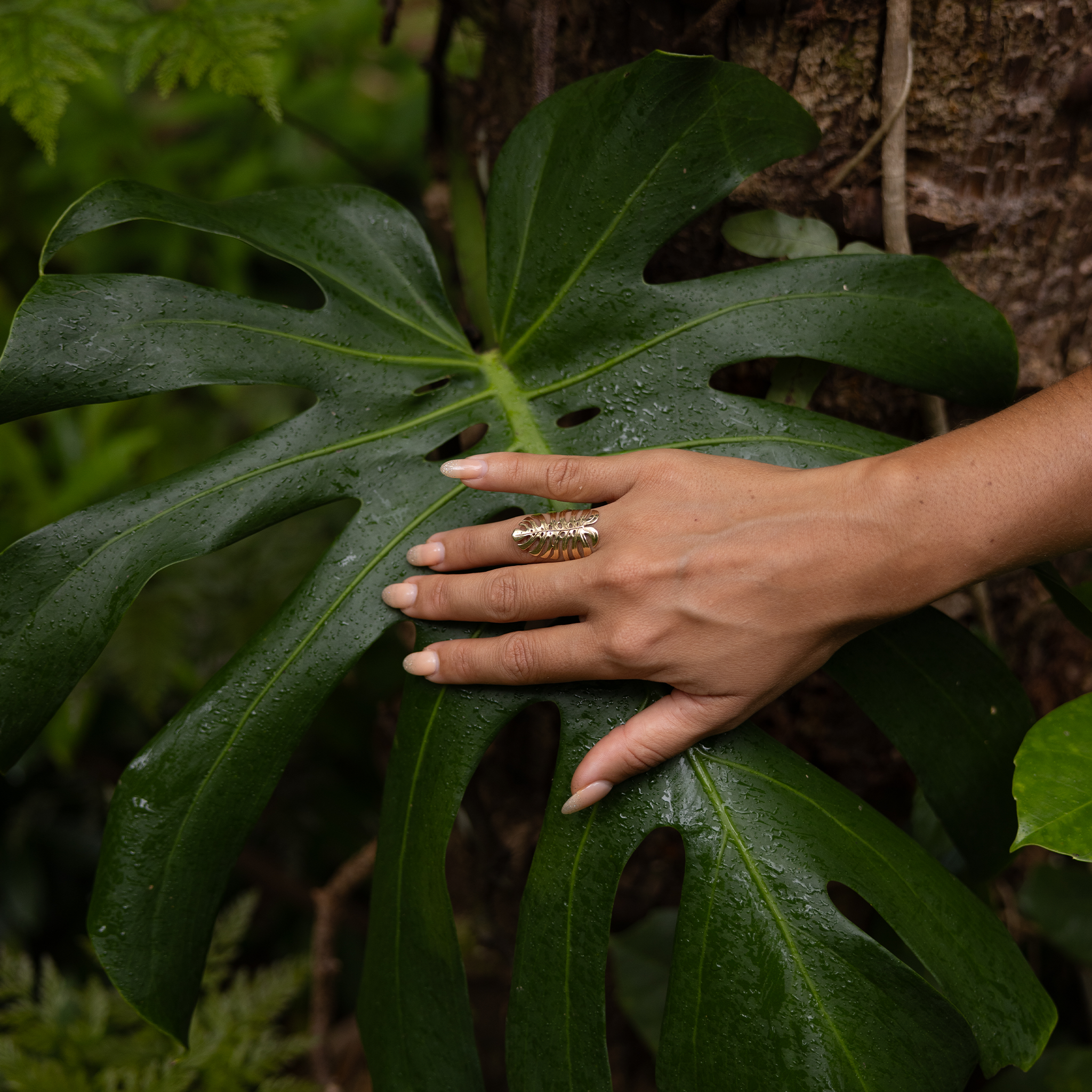 30mm Monstera Ring in Gold on hand placed over large monstera leaf in a forest