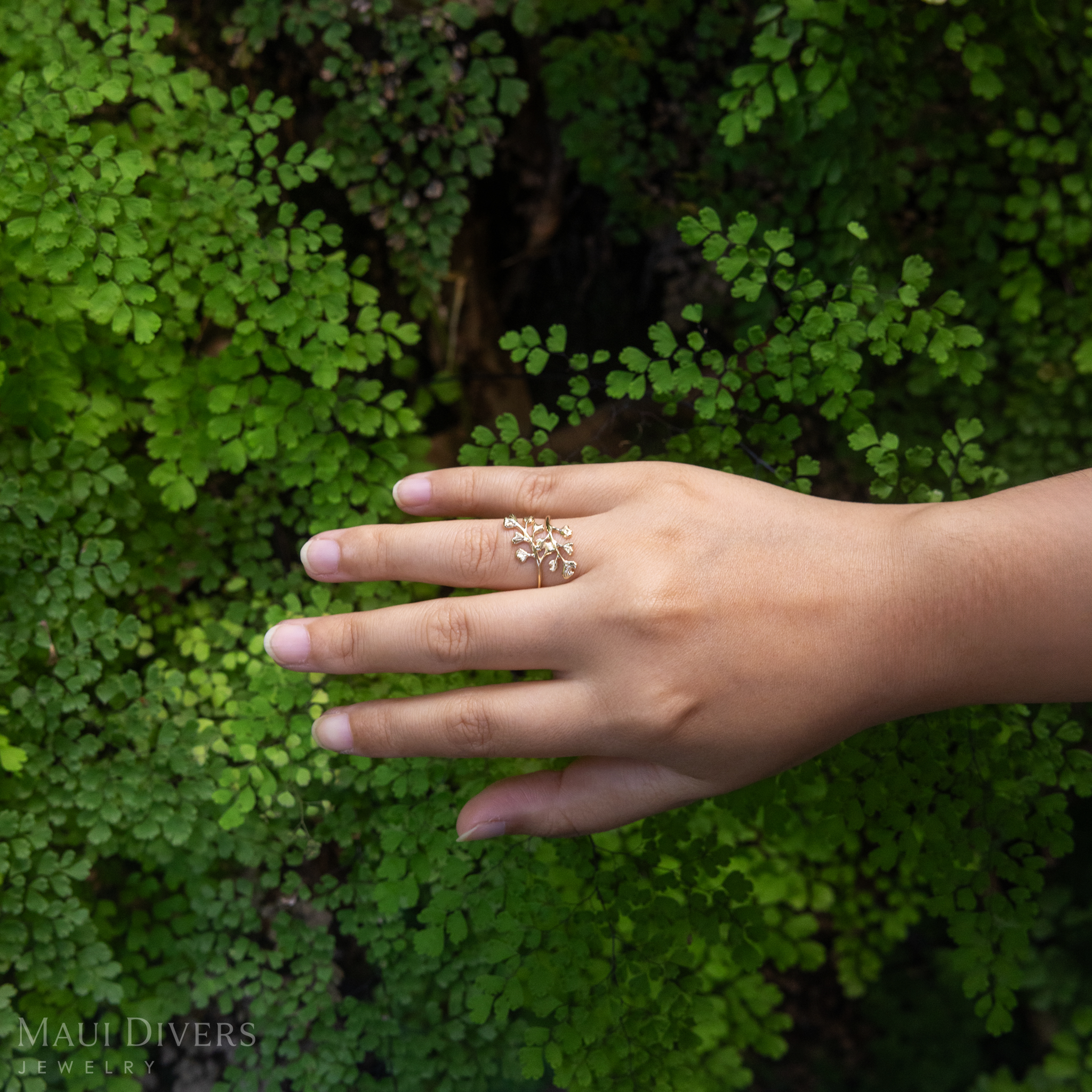 ʻIwaʻiwa (Maiden Hair) Fern Ring in Gold - 18mm