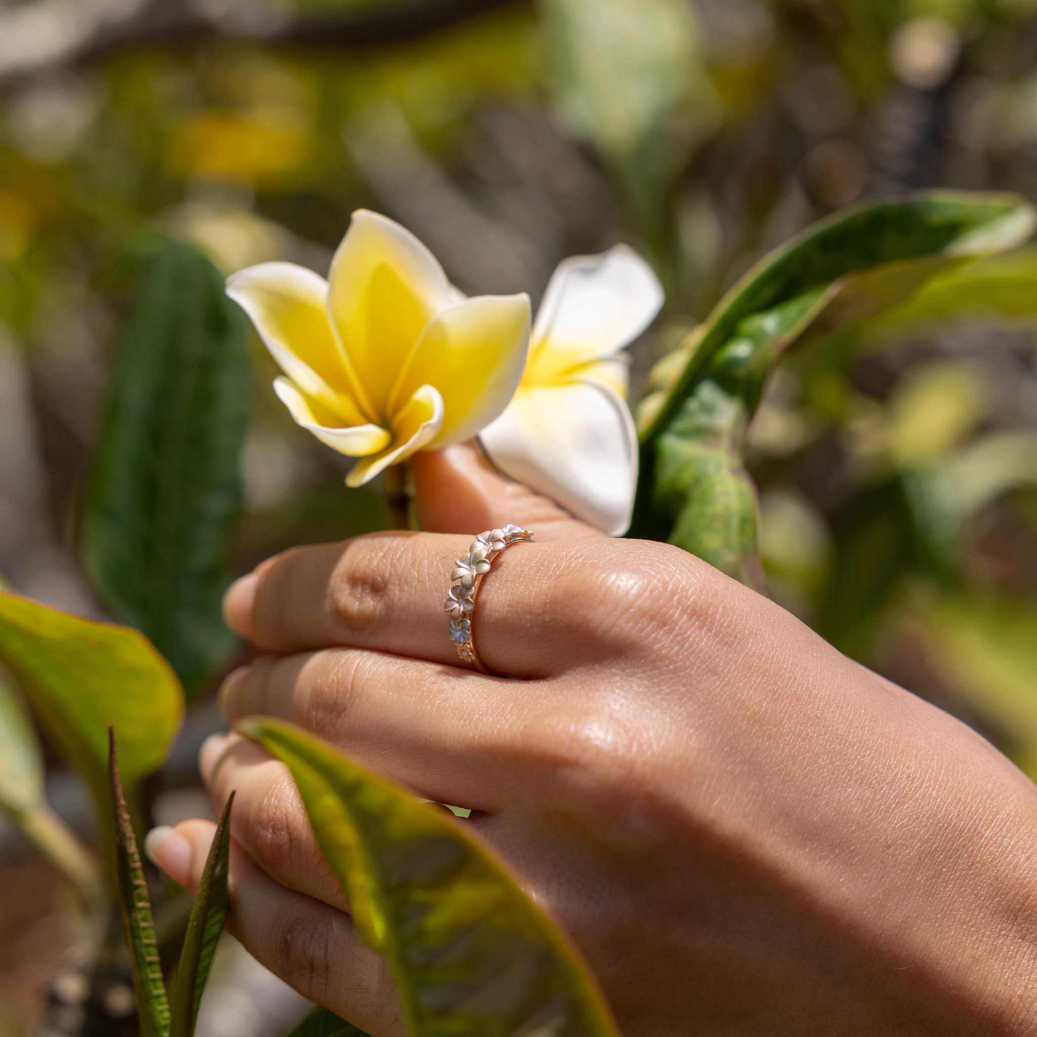 6mm 7-Plumeria Ring in Tri Color Gold with Diamonds on a hand picking a plumeria flower from a tree