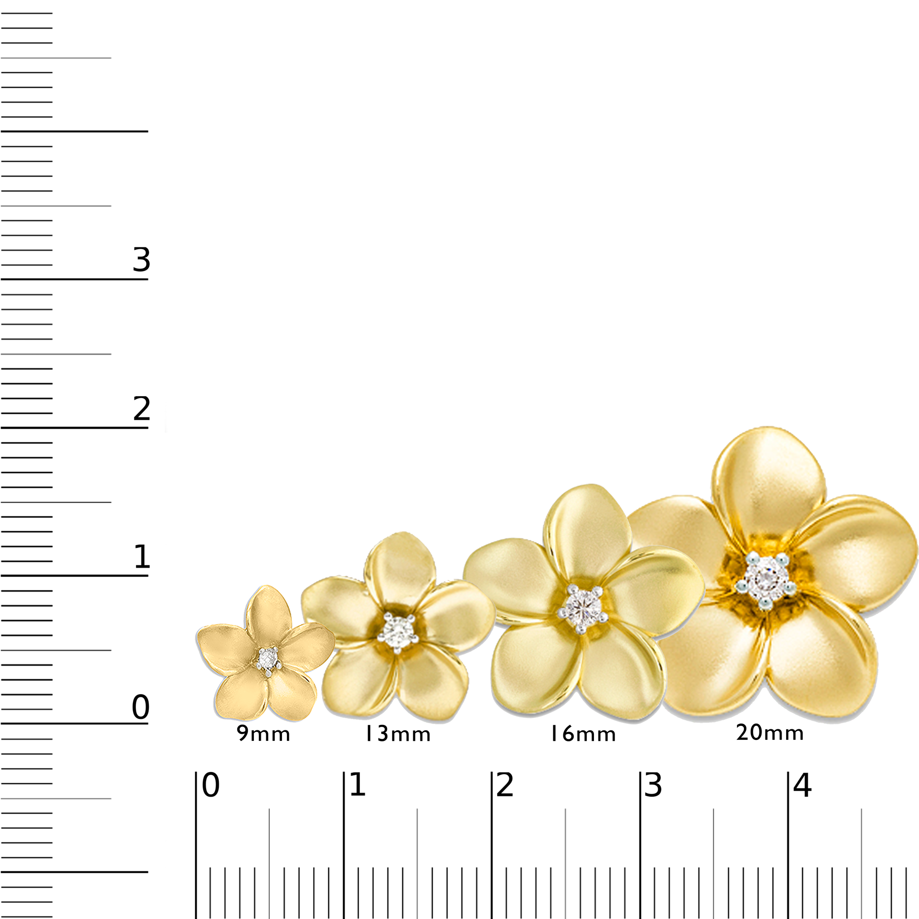 four sizes of Plumeria Pendant to Scale on Ruler