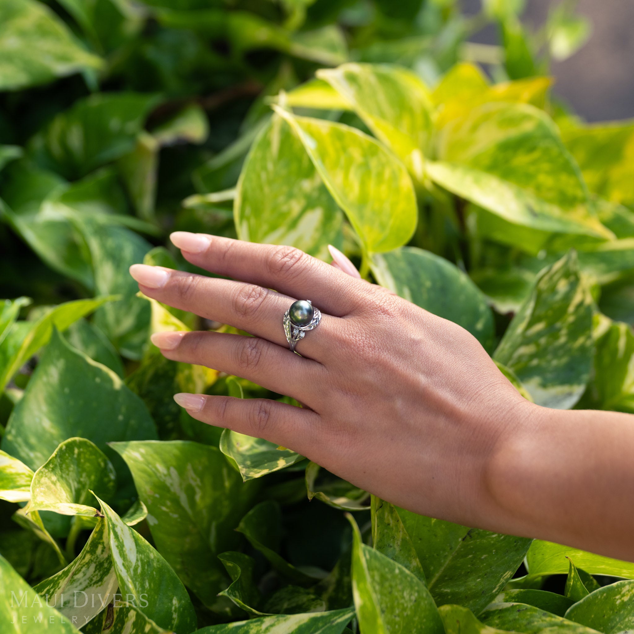 Hand wearing a Maile Leaf Tahitian black pearl ring against a green leafy background