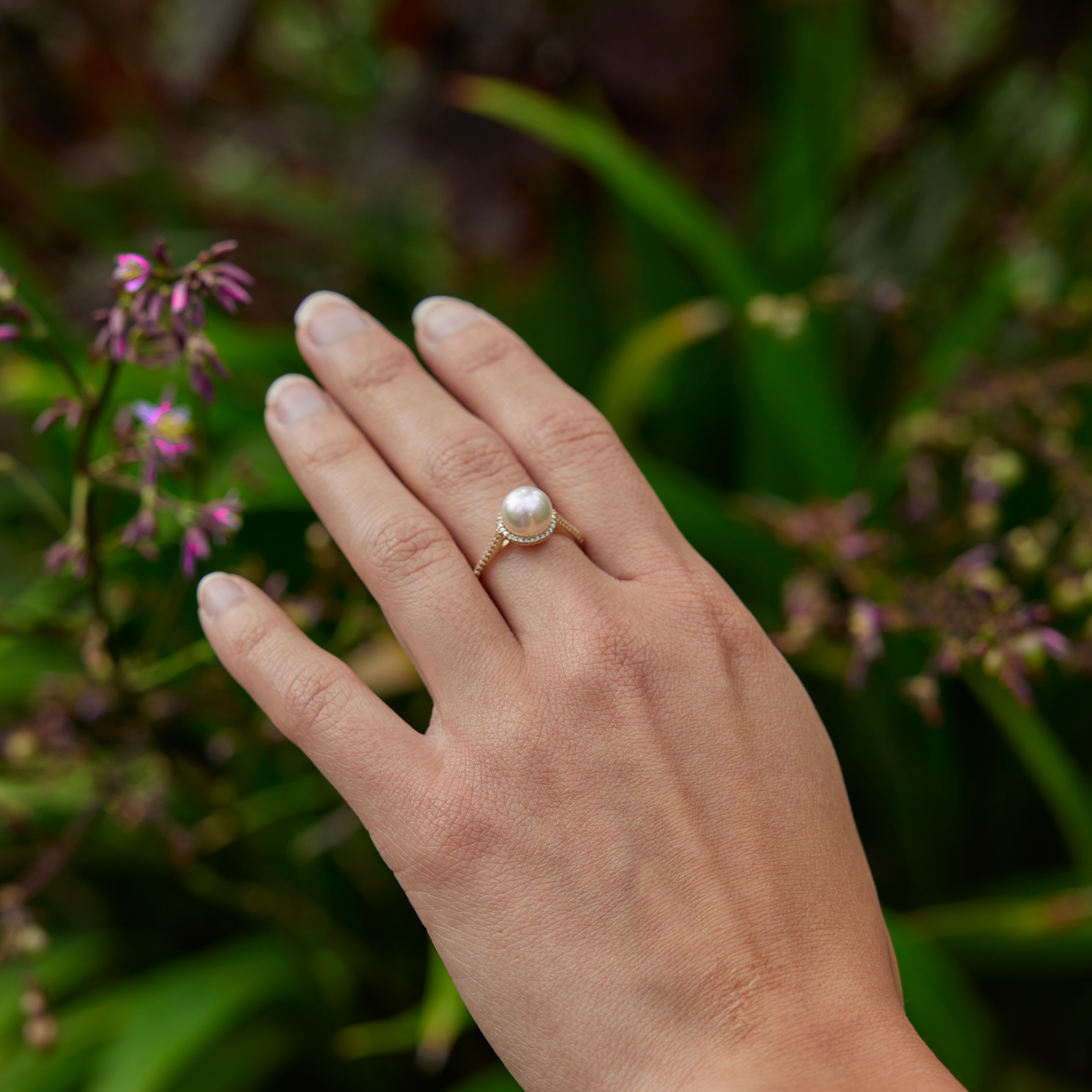 Halo Akoya Pearl Ring in Gold with Diamonds - 8-8.5mm