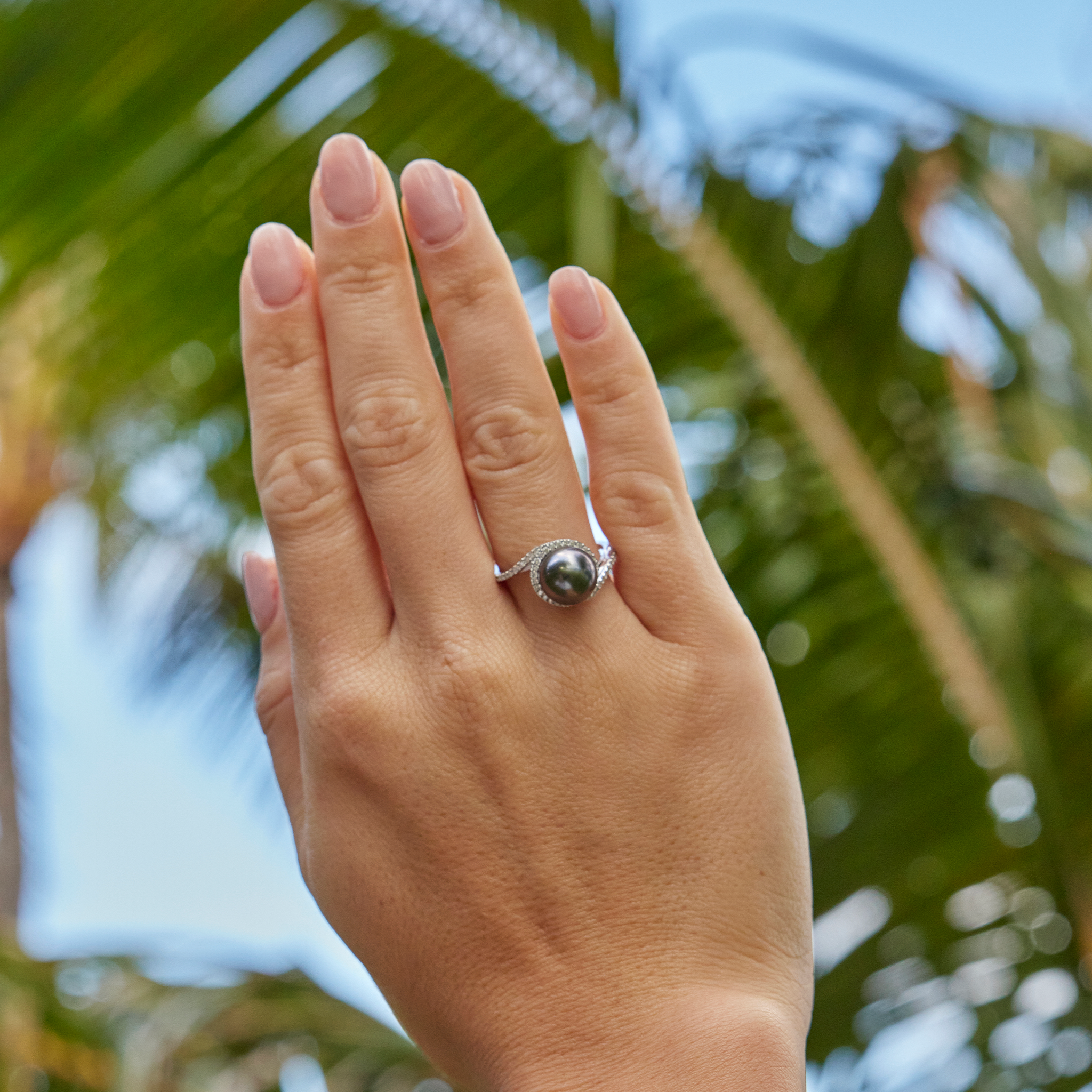 Halo Tahitian Black Pearl Ring in White Gold with Diamonds - 9-10mm