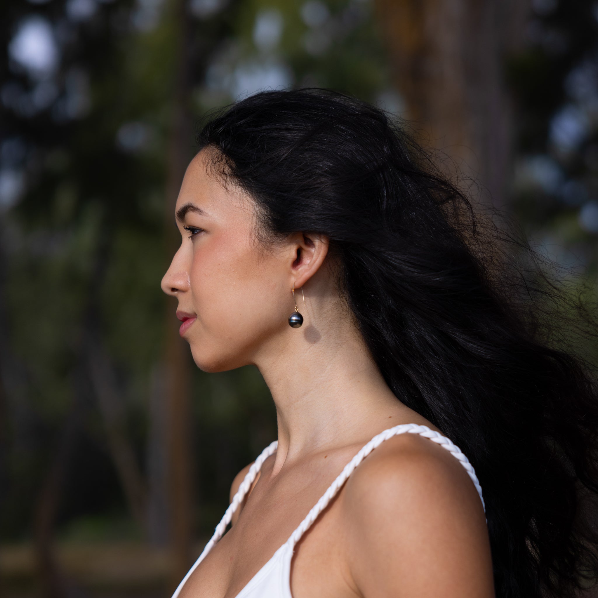 サークル タヒチ黒真珠 イヤリング ゴールド - 12-15mm