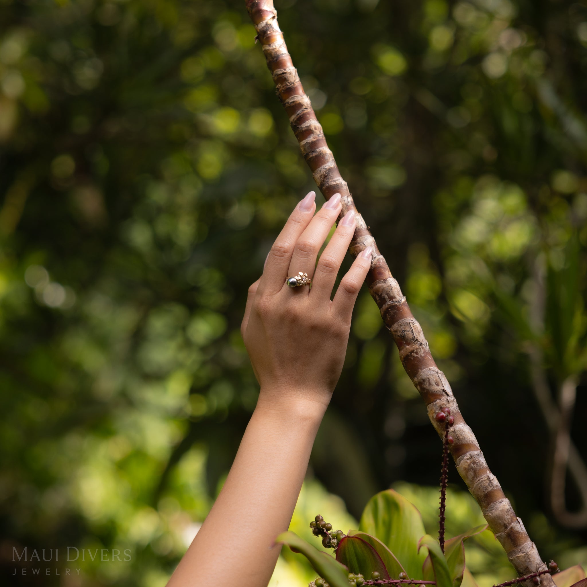 Nāʻū タヒチ黒真珠 ダイヤモンド ゴールド リング - 7-8mm