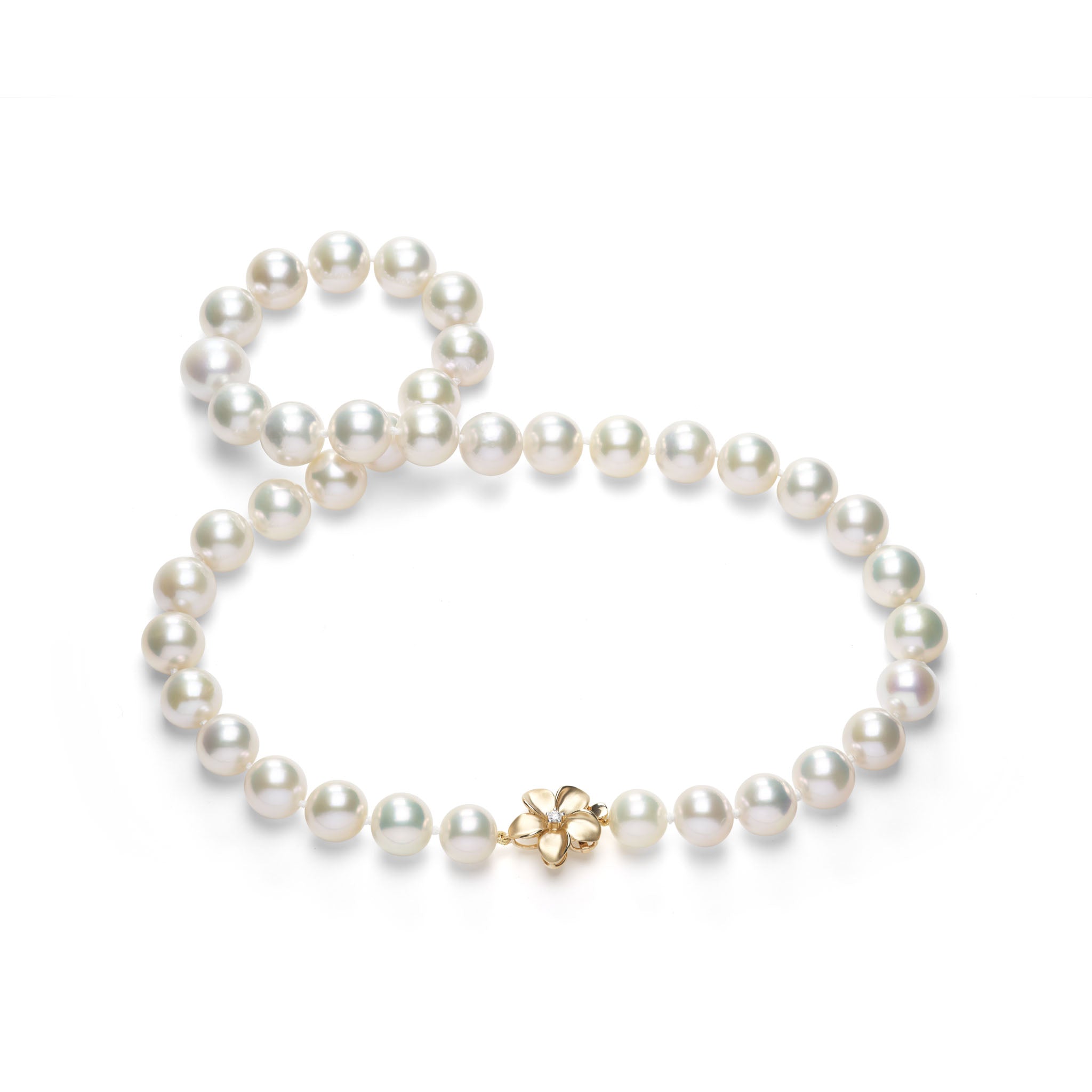19" Freshwater White Pearl Strand with Diamond Plumeria Clasp in Gold - 10-12mm