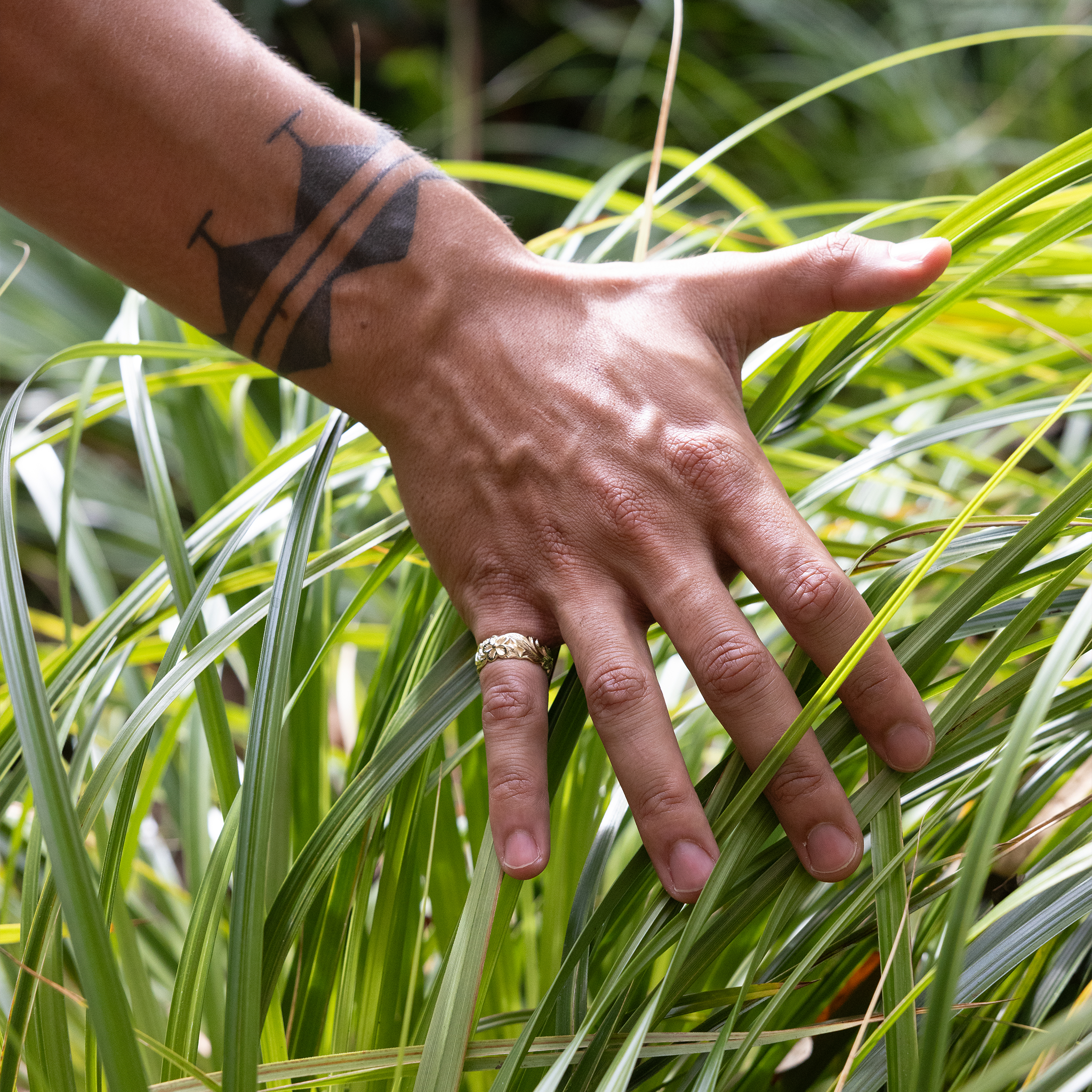 プルメリア ゴールド - 8mm