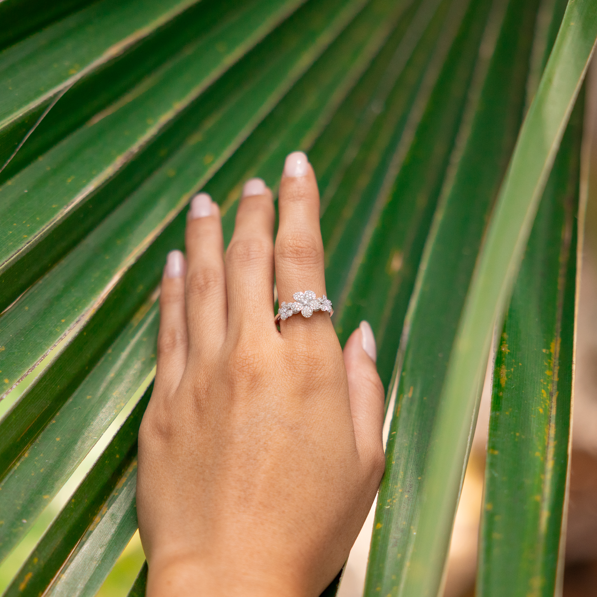 プルメリア ダイヤモンド ホワイトゴールド リング - 10mm