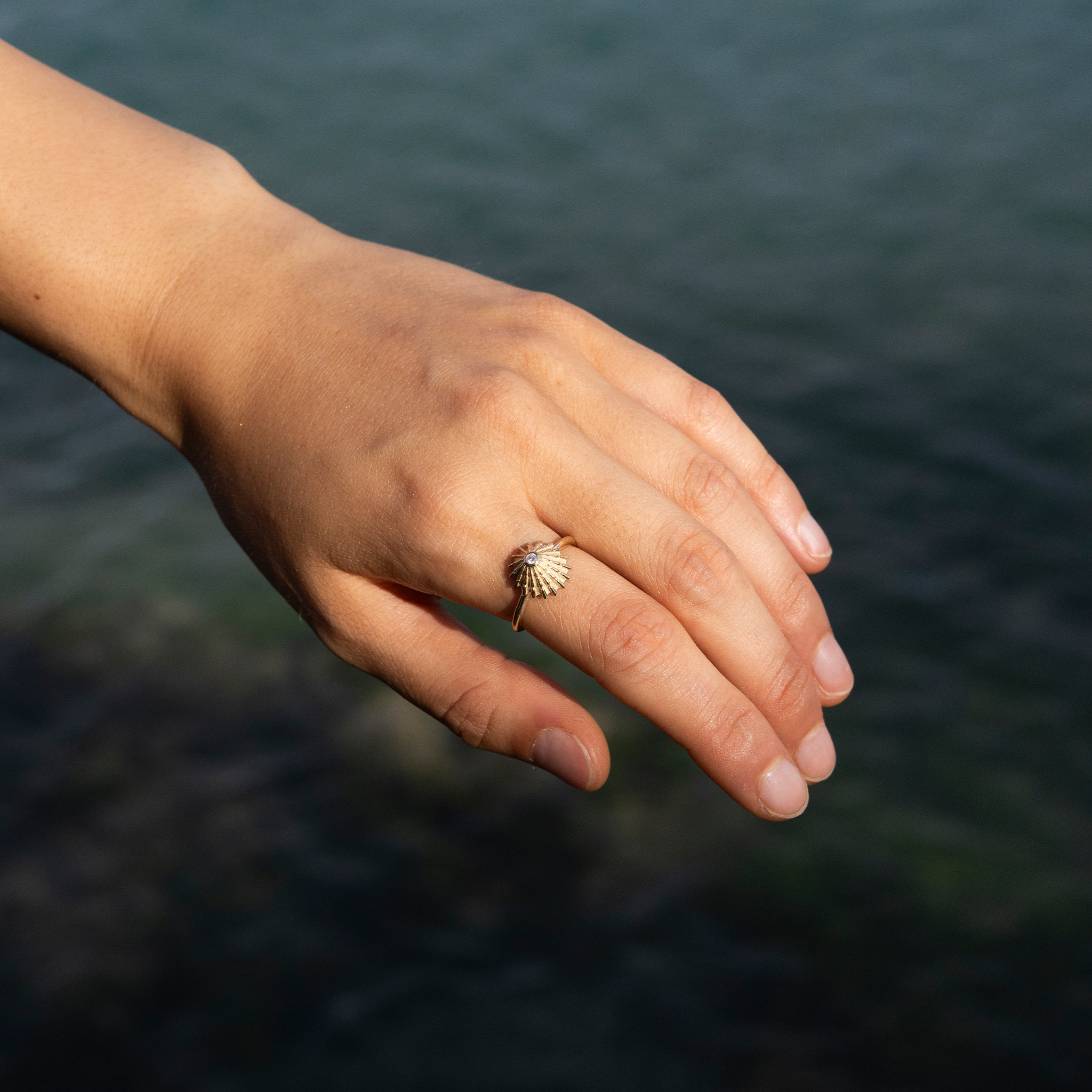 オピヒ・リング ダイヤモンド・ゴールド - 12mm