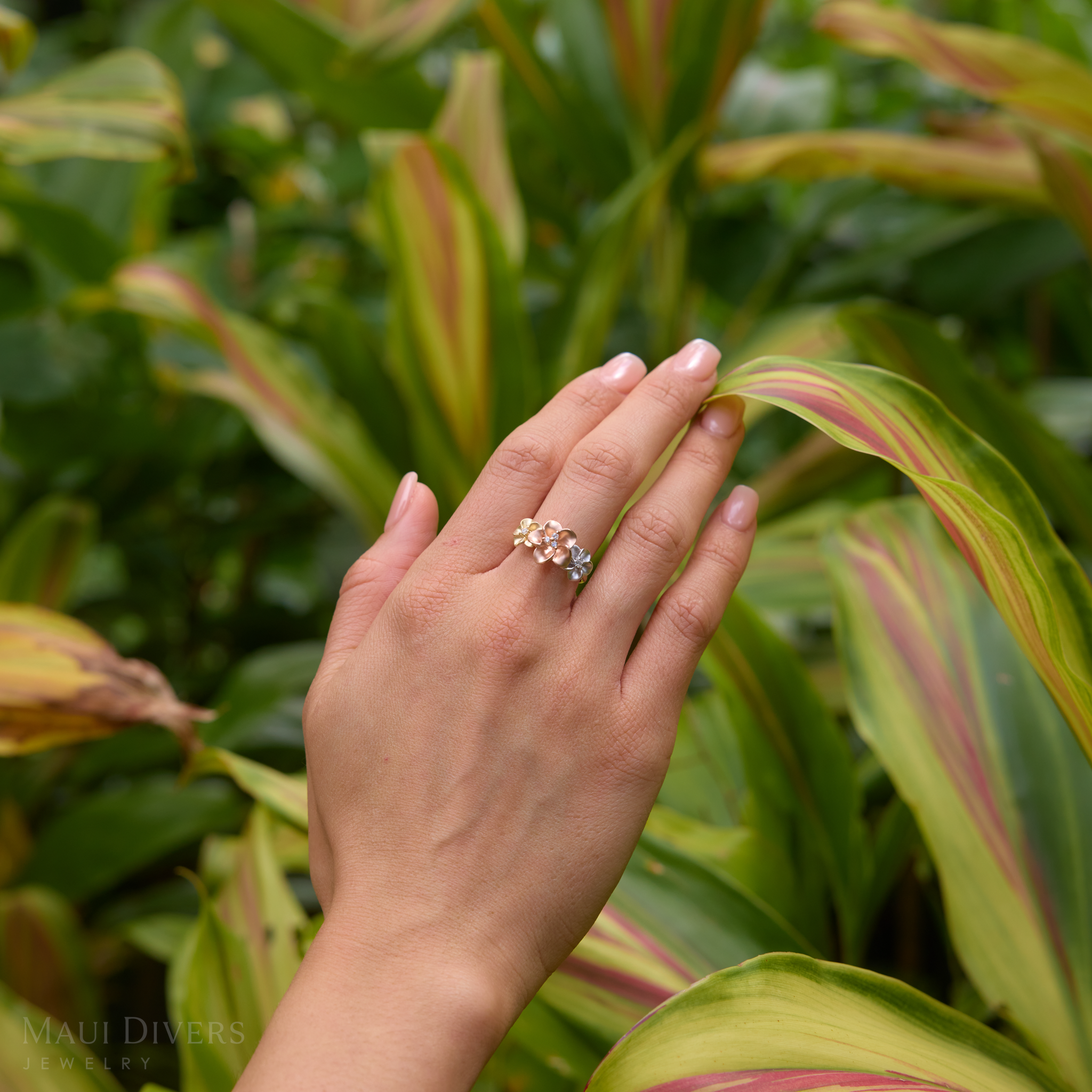 プルメリア リング ダイヤモンド トライカラー ゴールド - 12mm