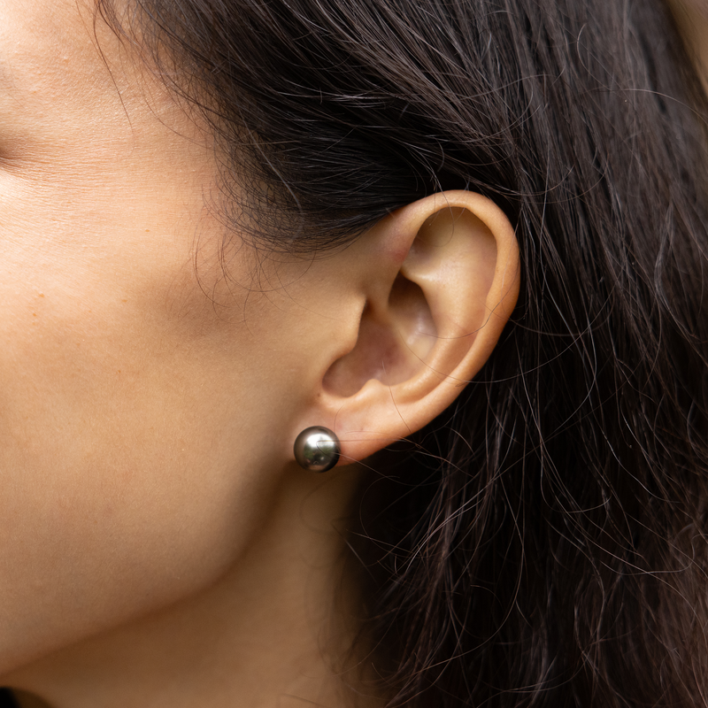 Tahitian Black Pearl Earrings in Gold - 9-10mm