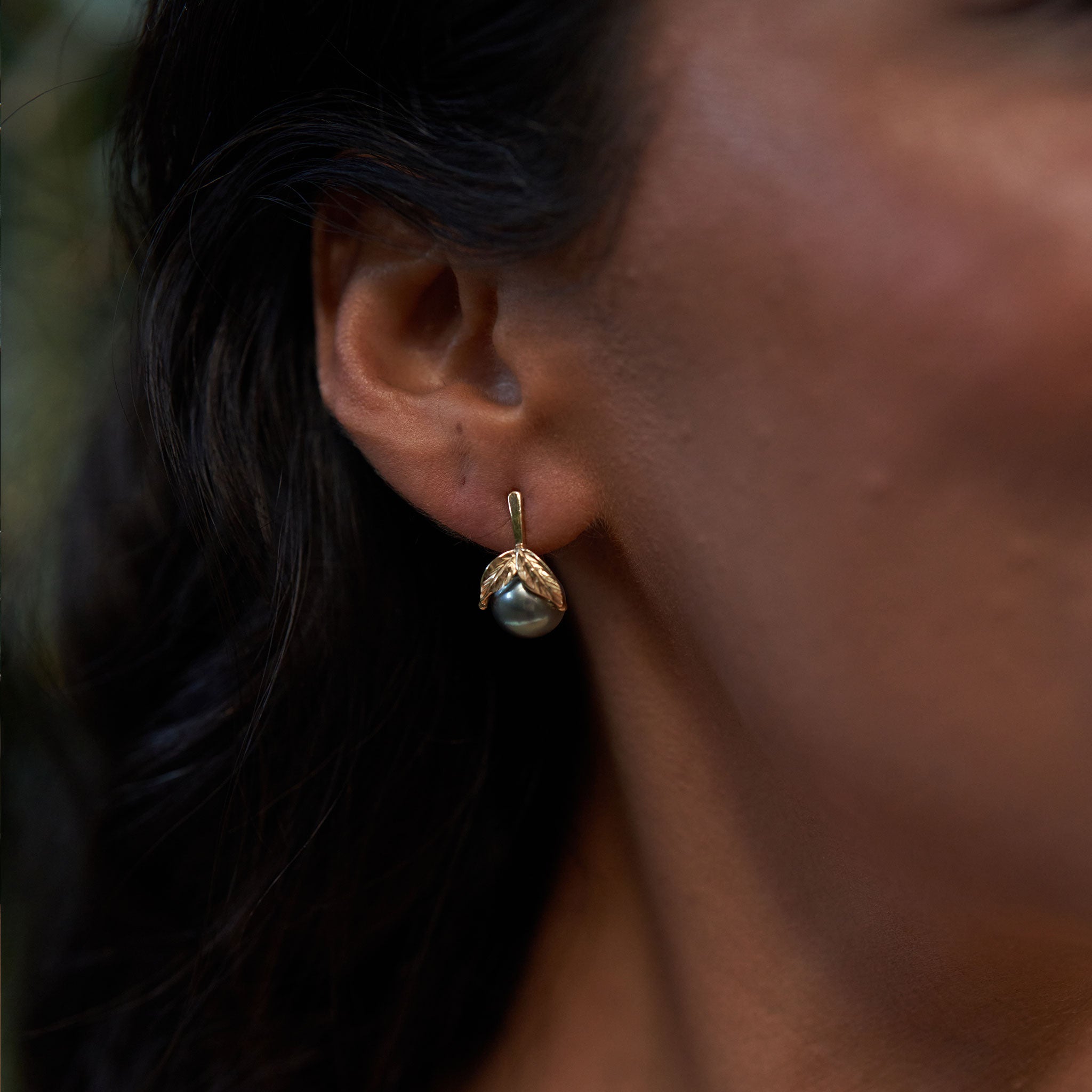 Maile Tahiti-Ohrringe mit schwarzen Perlen in Gold - 9-10 mm