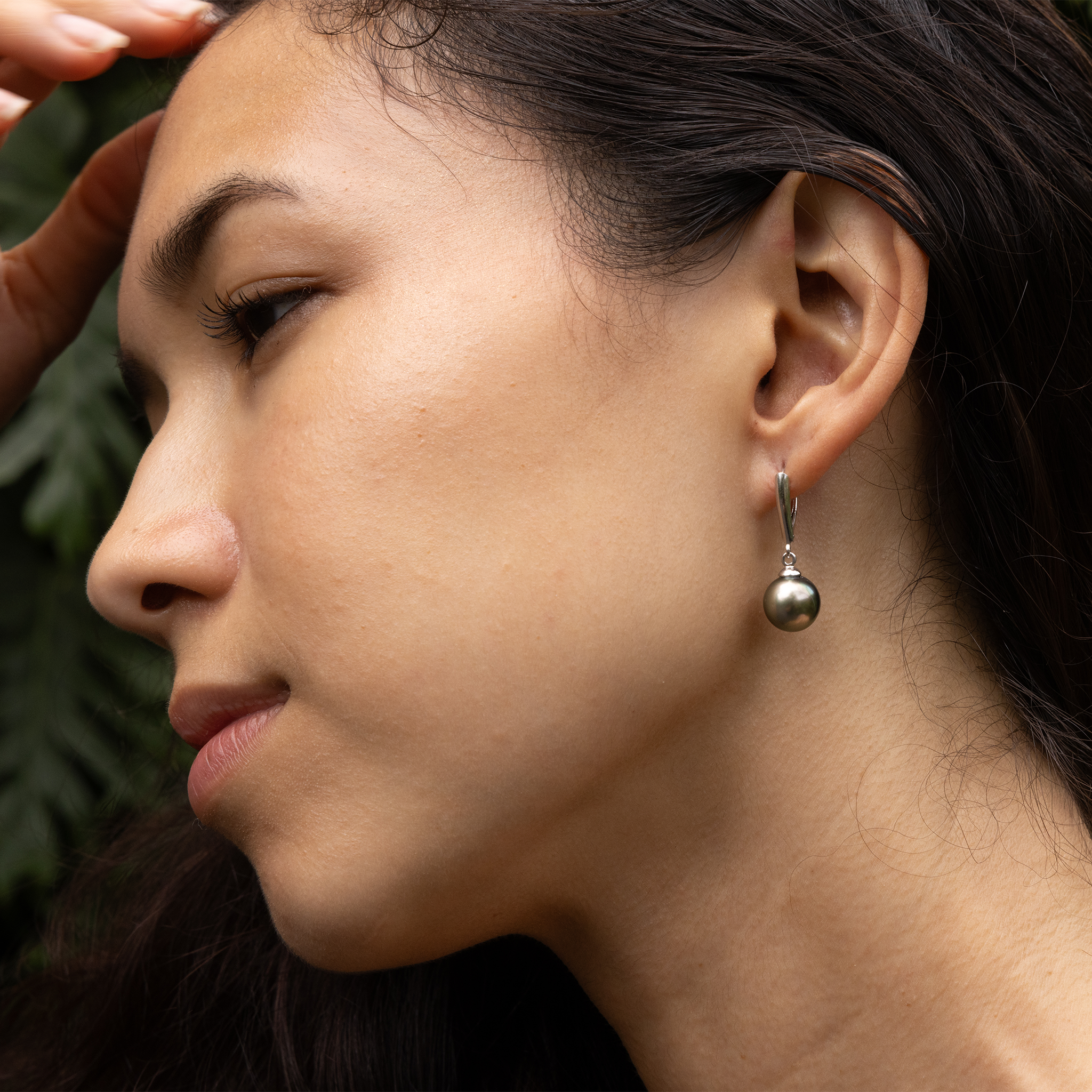 Tahitian Black Pearl Earrings in White Gold - 10-11mm