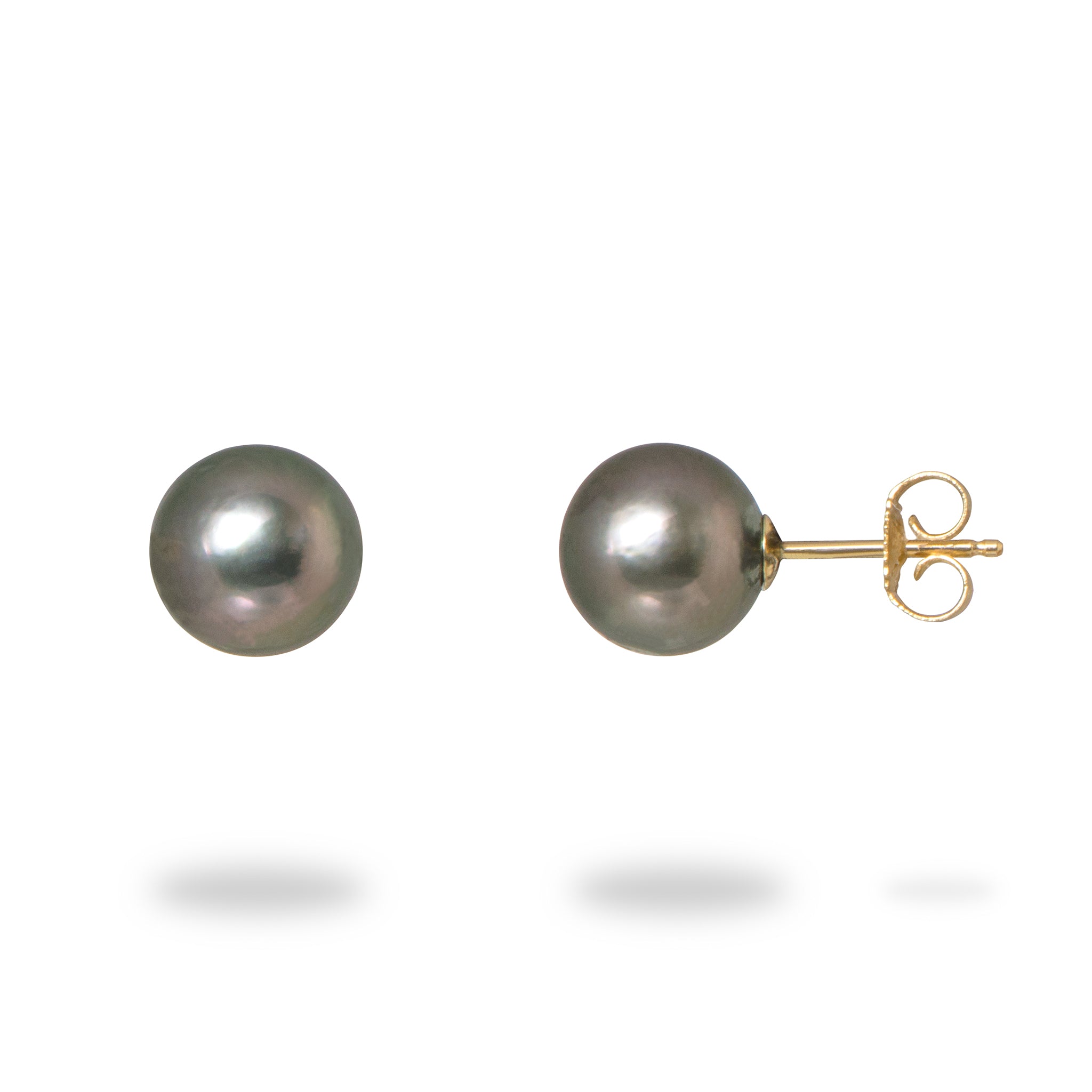 金のタヒチの黒真珠のイヤリング -  8-9mm