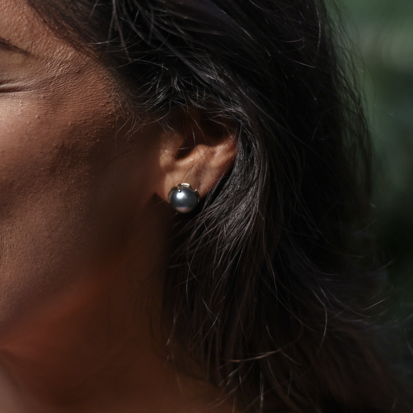 Heritage Tahitian Pearl earrings in Gold -9-10mm